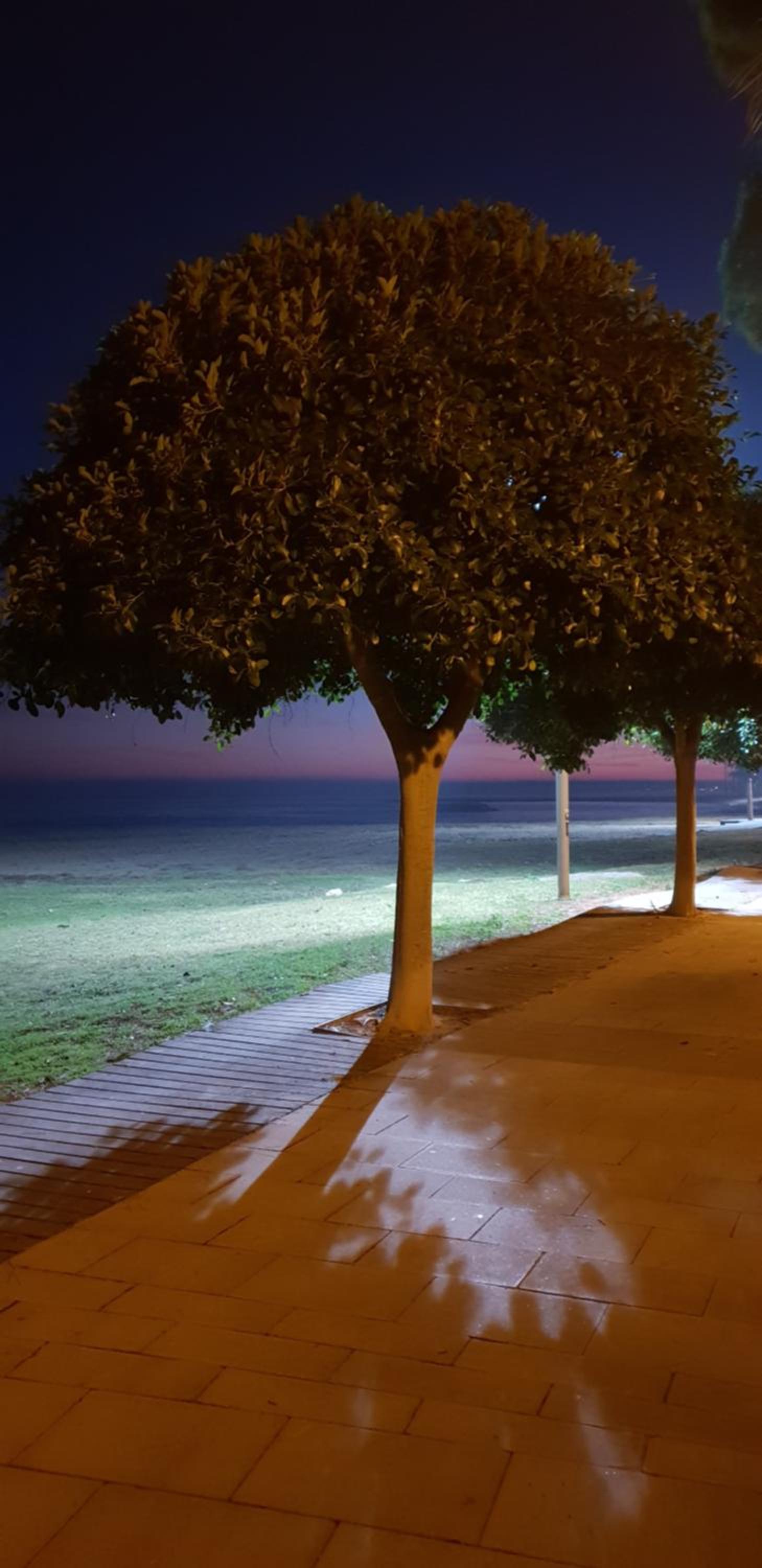 Apartment near the sea