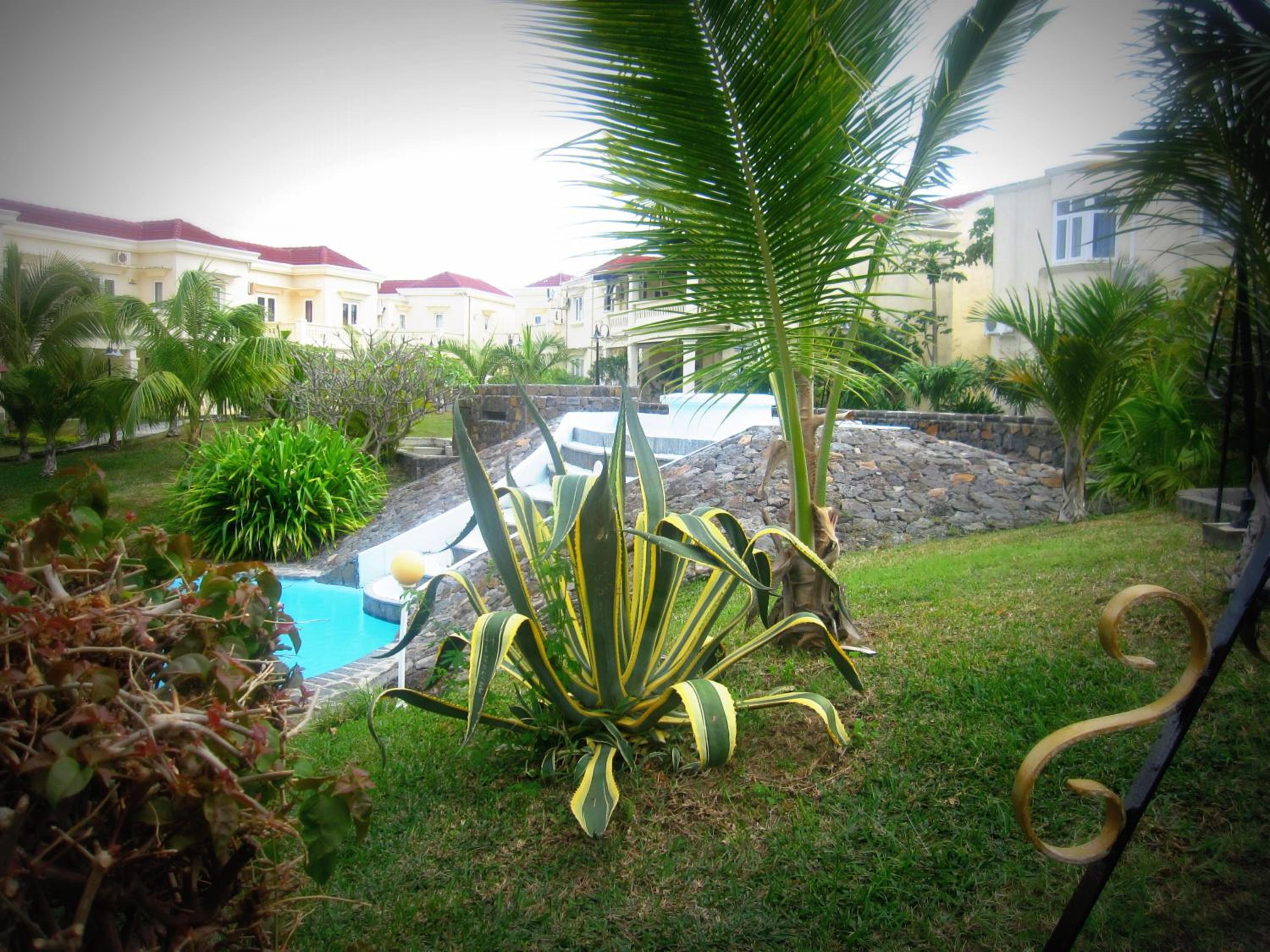 Golden Rod villa