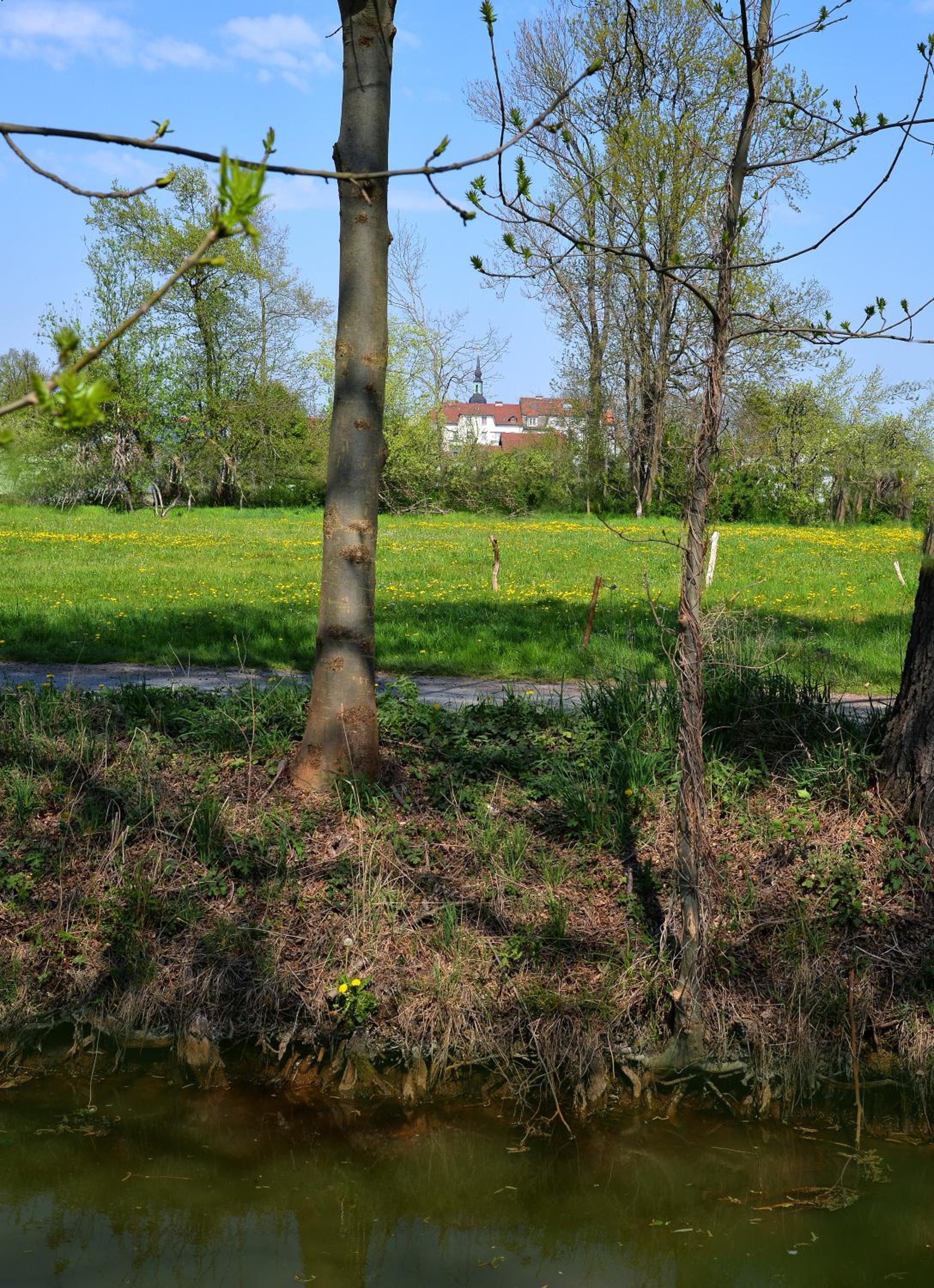 Ferienhaus am Kamskefliess