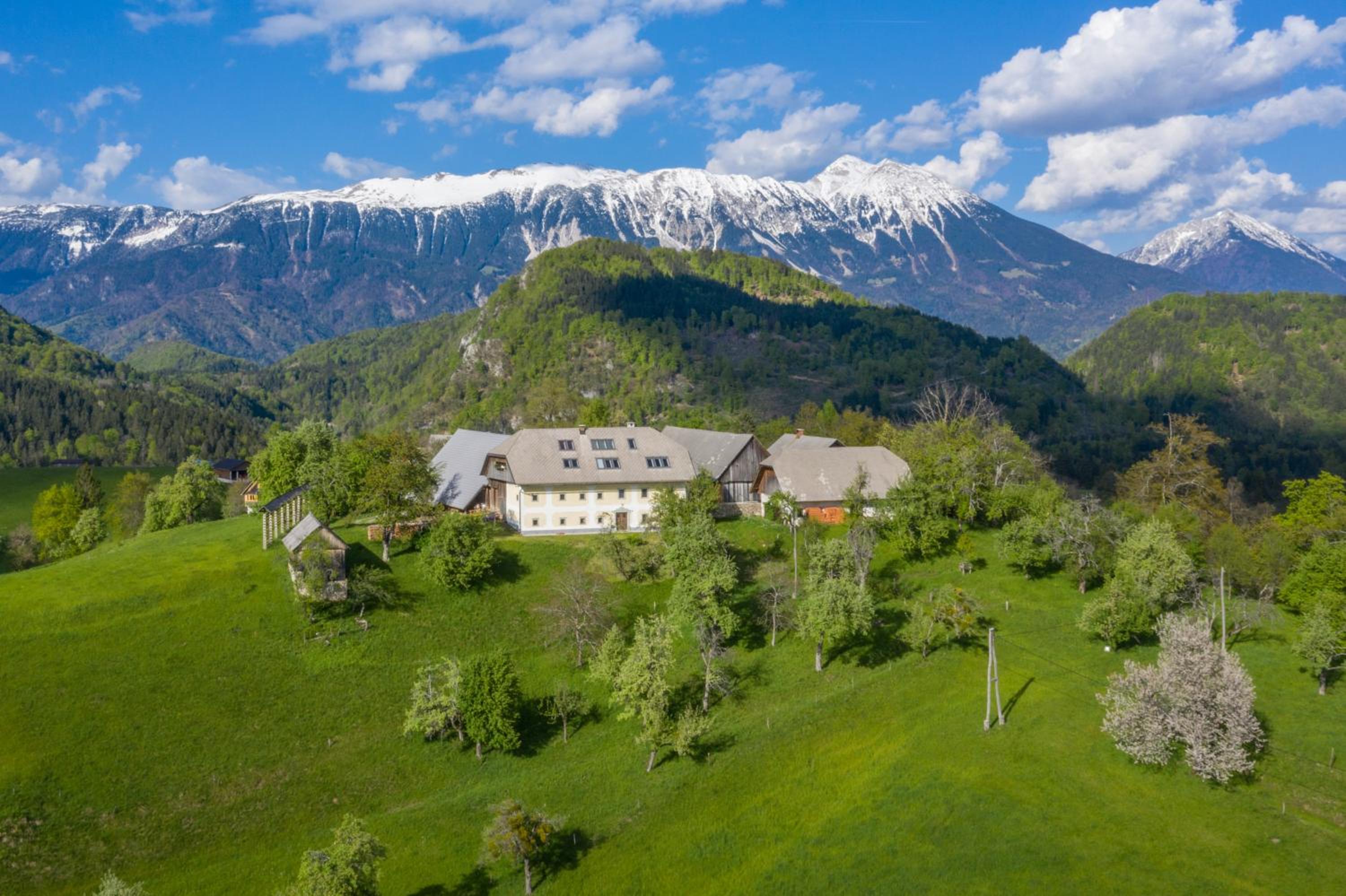 Apartment Krnicar
