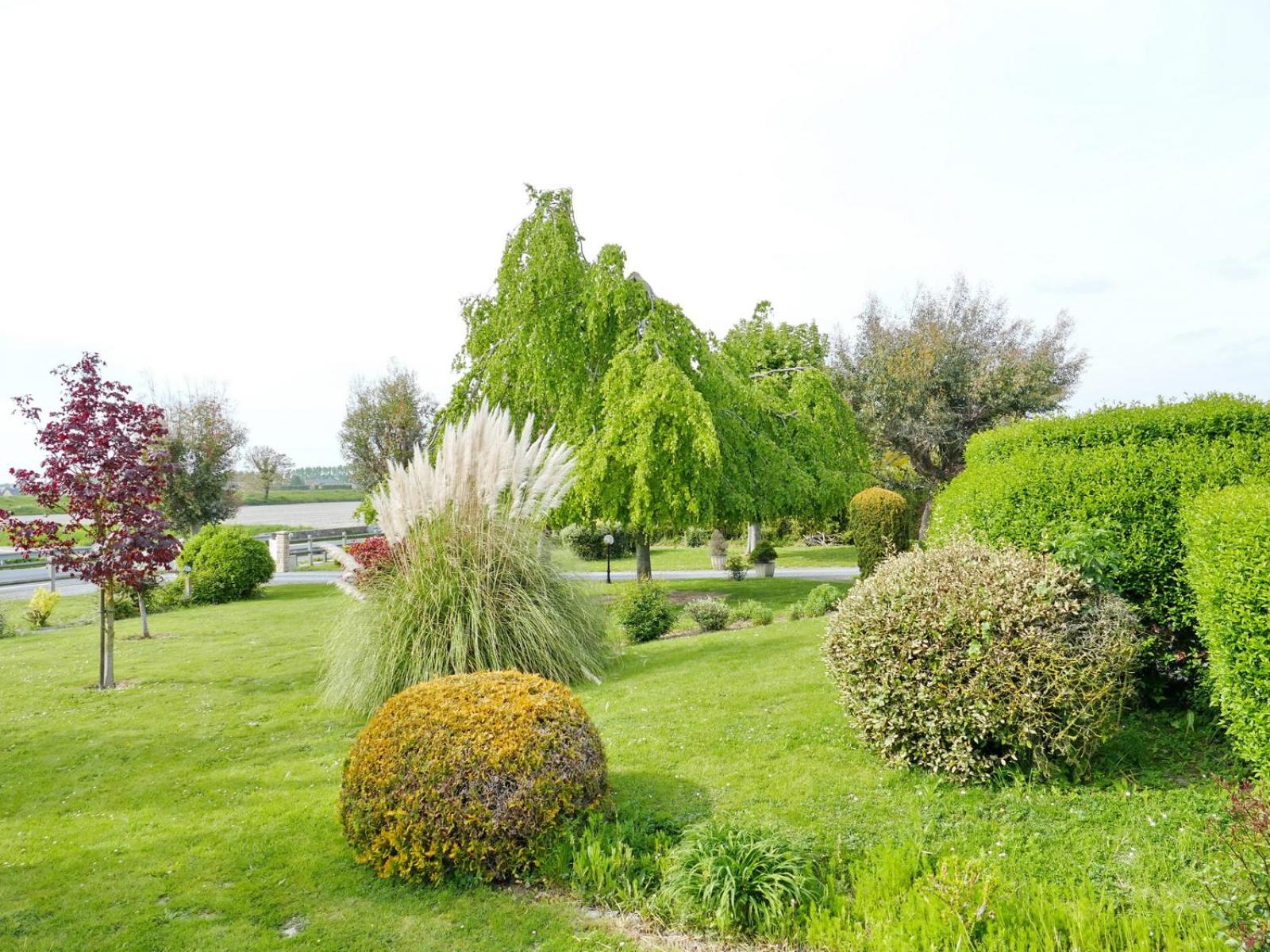 Photo 27
