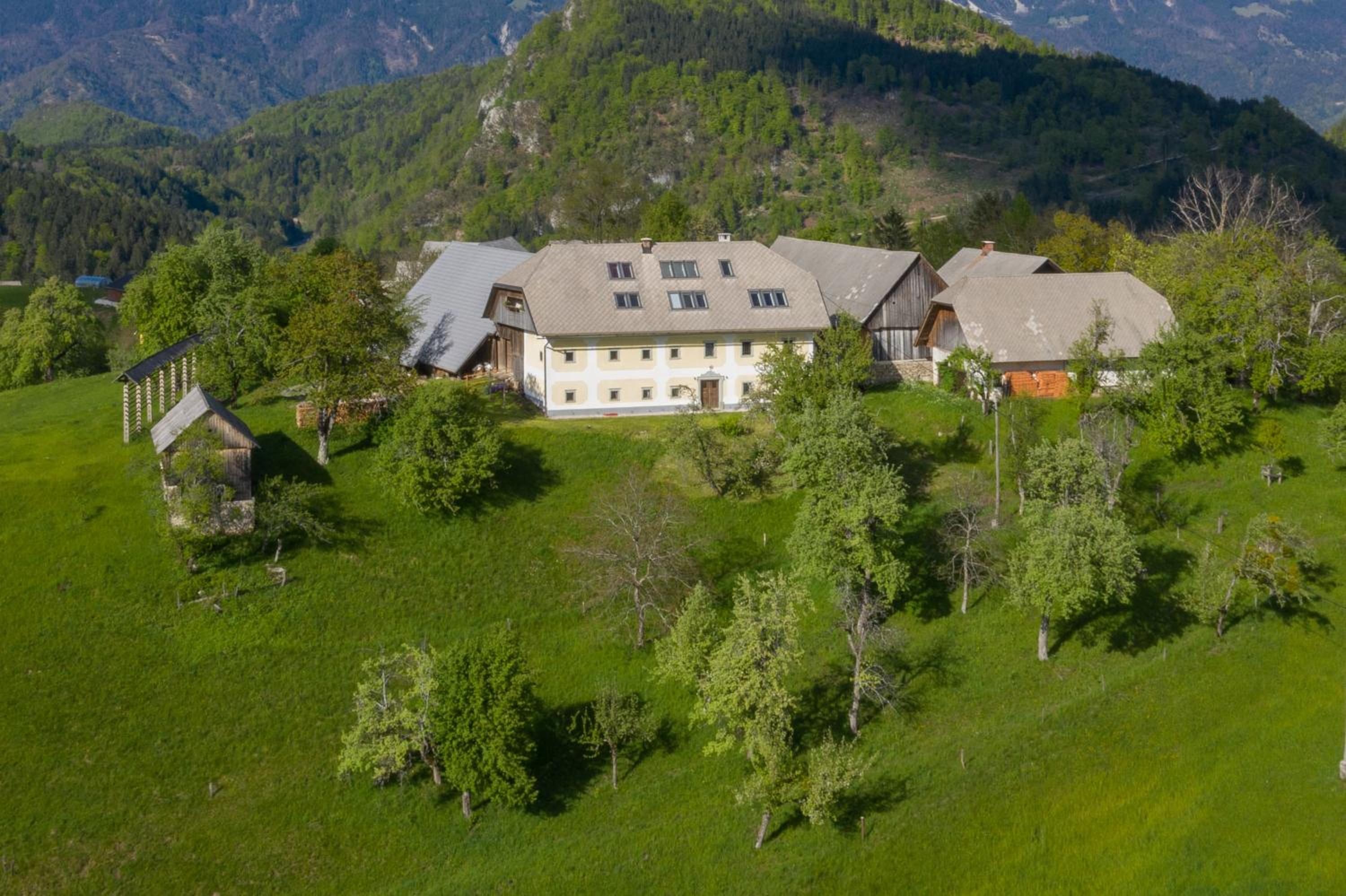Apartment Krnicar