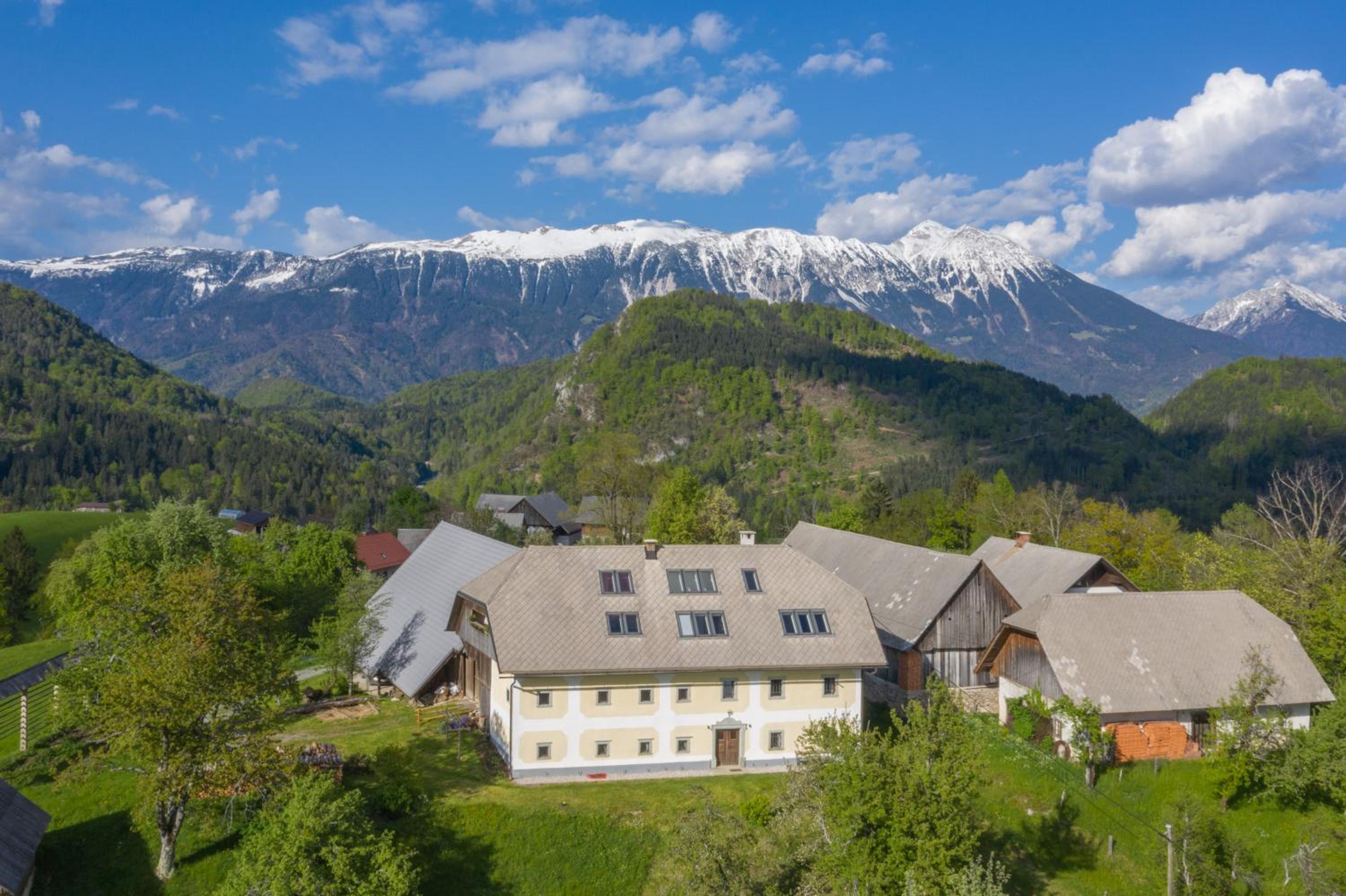 Apartment Krnicar