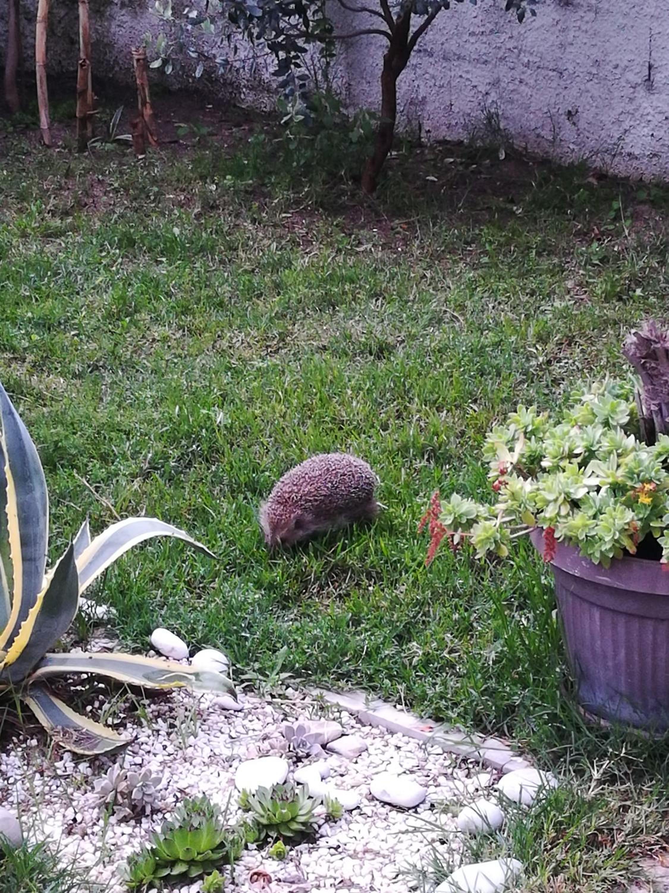 Photo 33