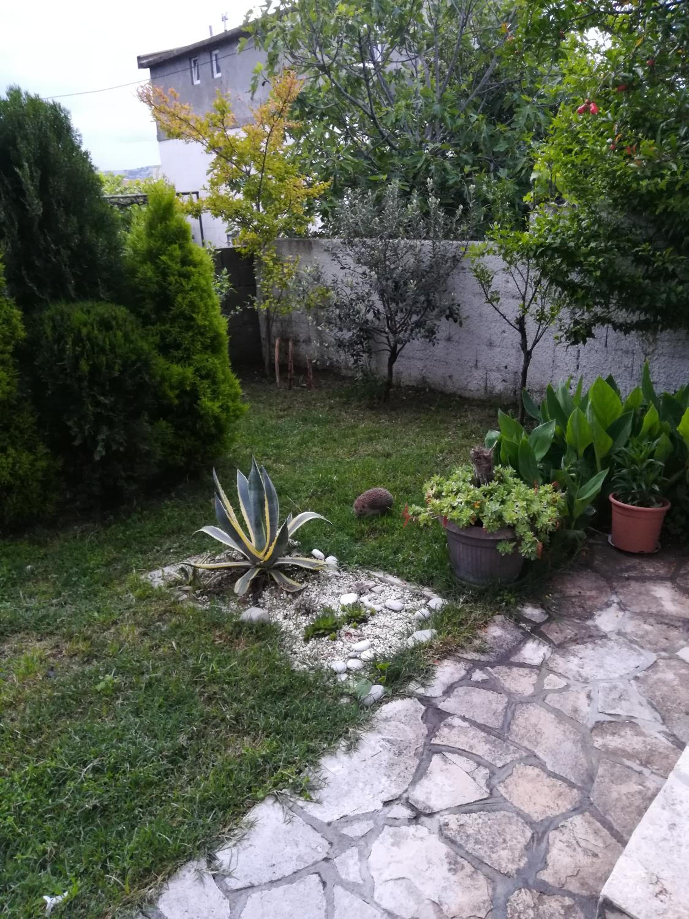 Photo 34