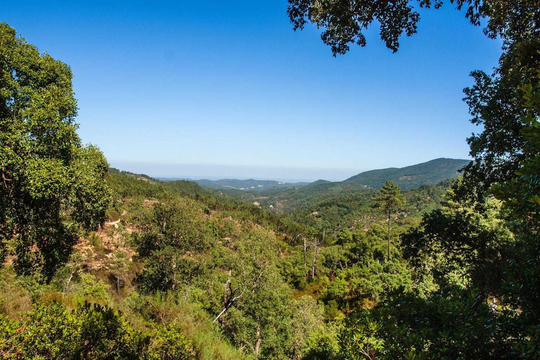 Casas do Vale da Rainha view 4