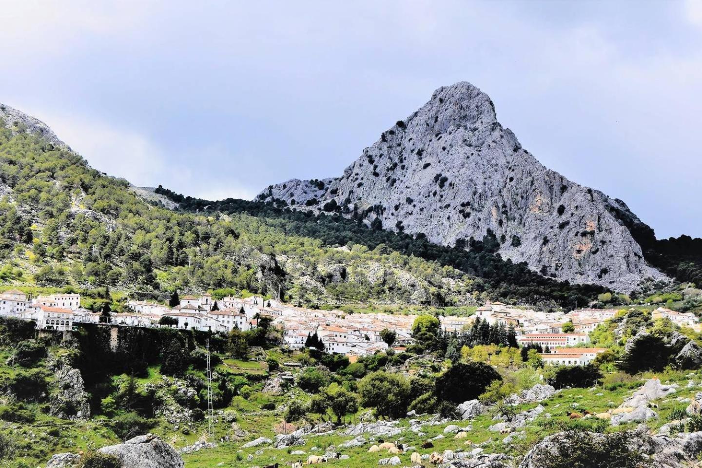 Casa Plaza Sierra Grazalema view 3