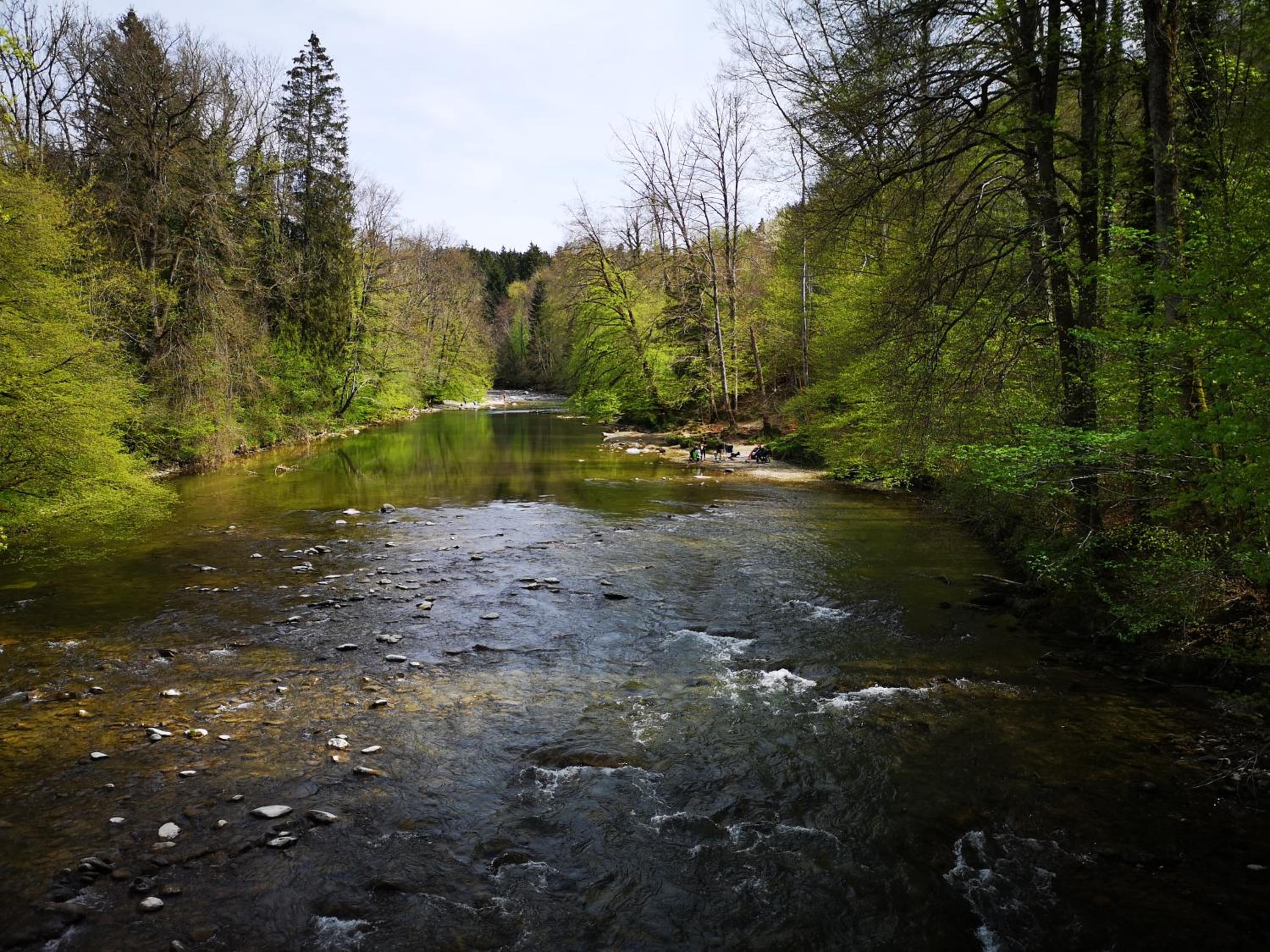 Photo 19