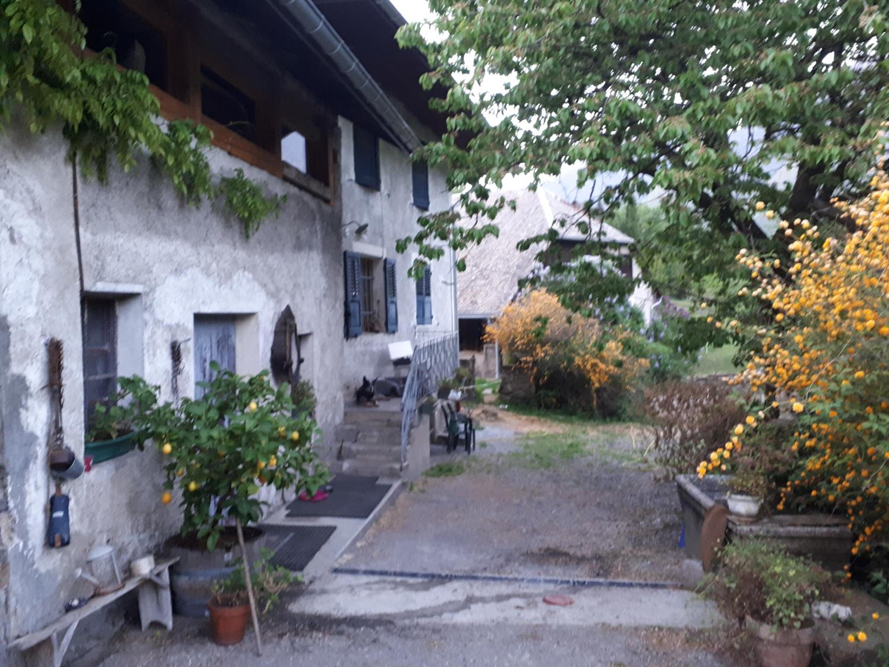 Photo 11