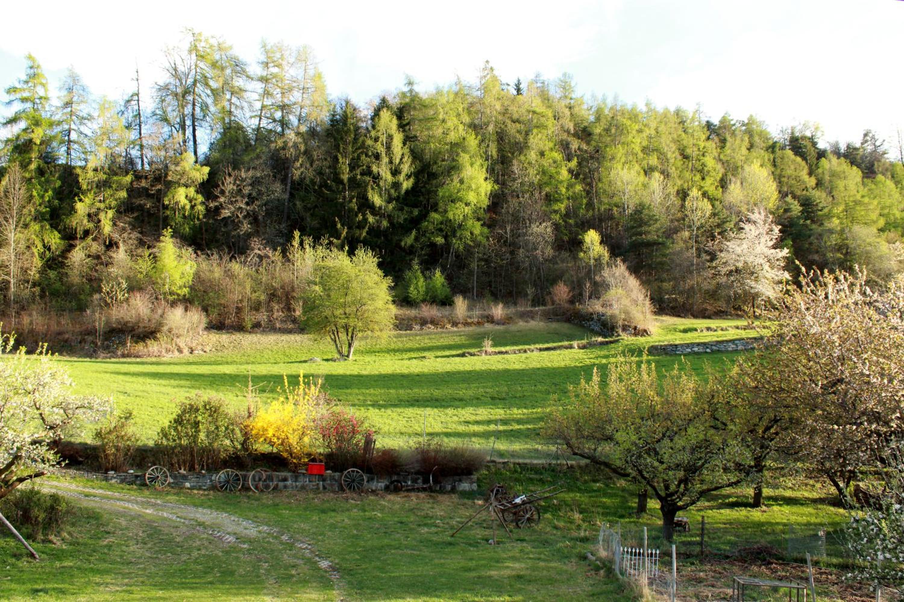 Domaine Bellevie BnB