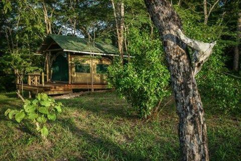 Miseni Retreat