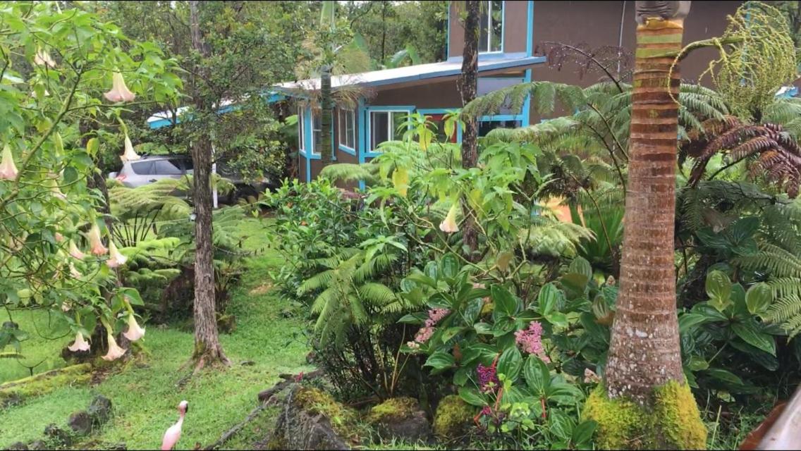 Ixchel Hawaii Volcano