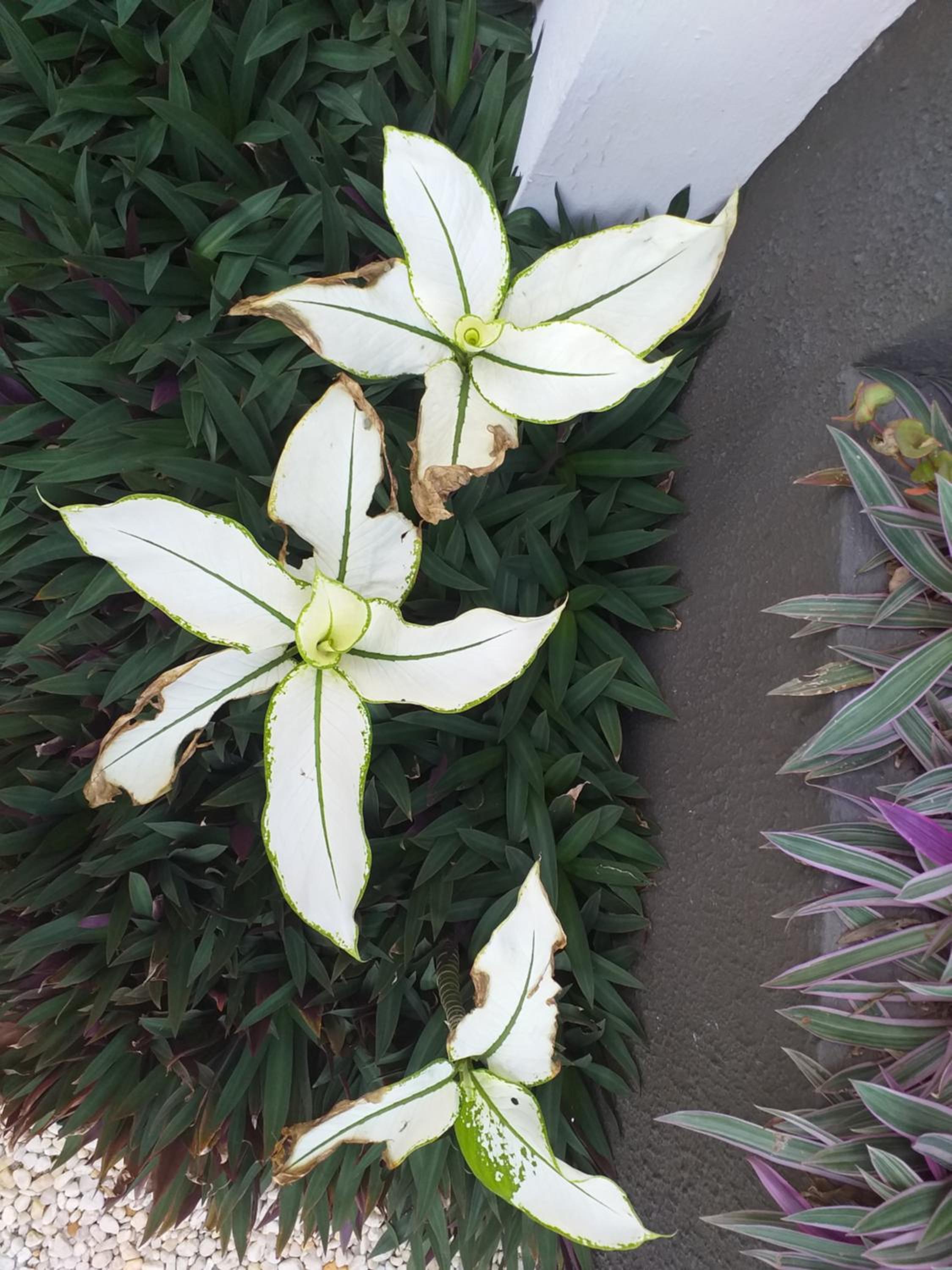 KARLS guesthouse - Property Image 9