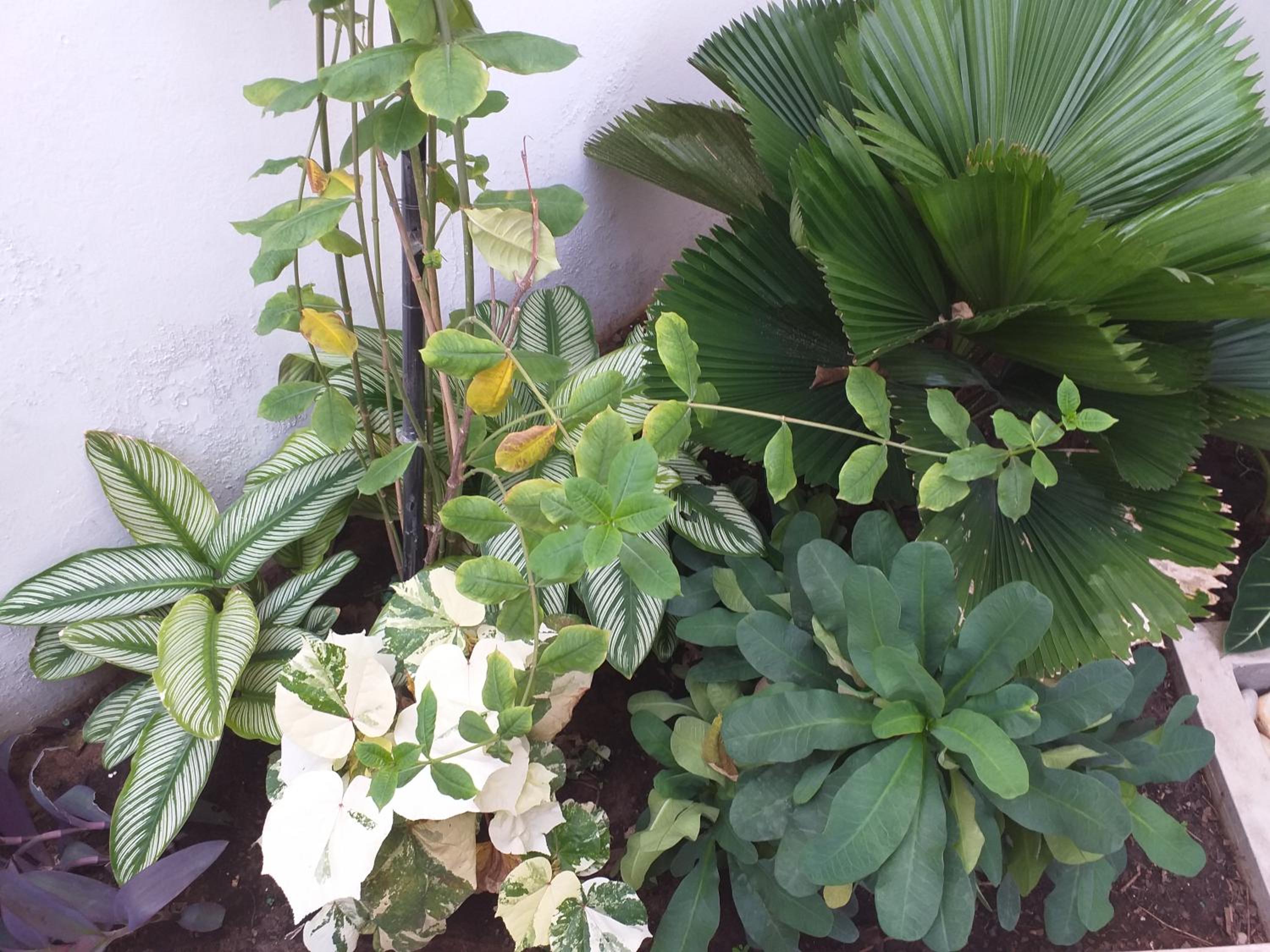 KARLS guesthouse - Property Image 10