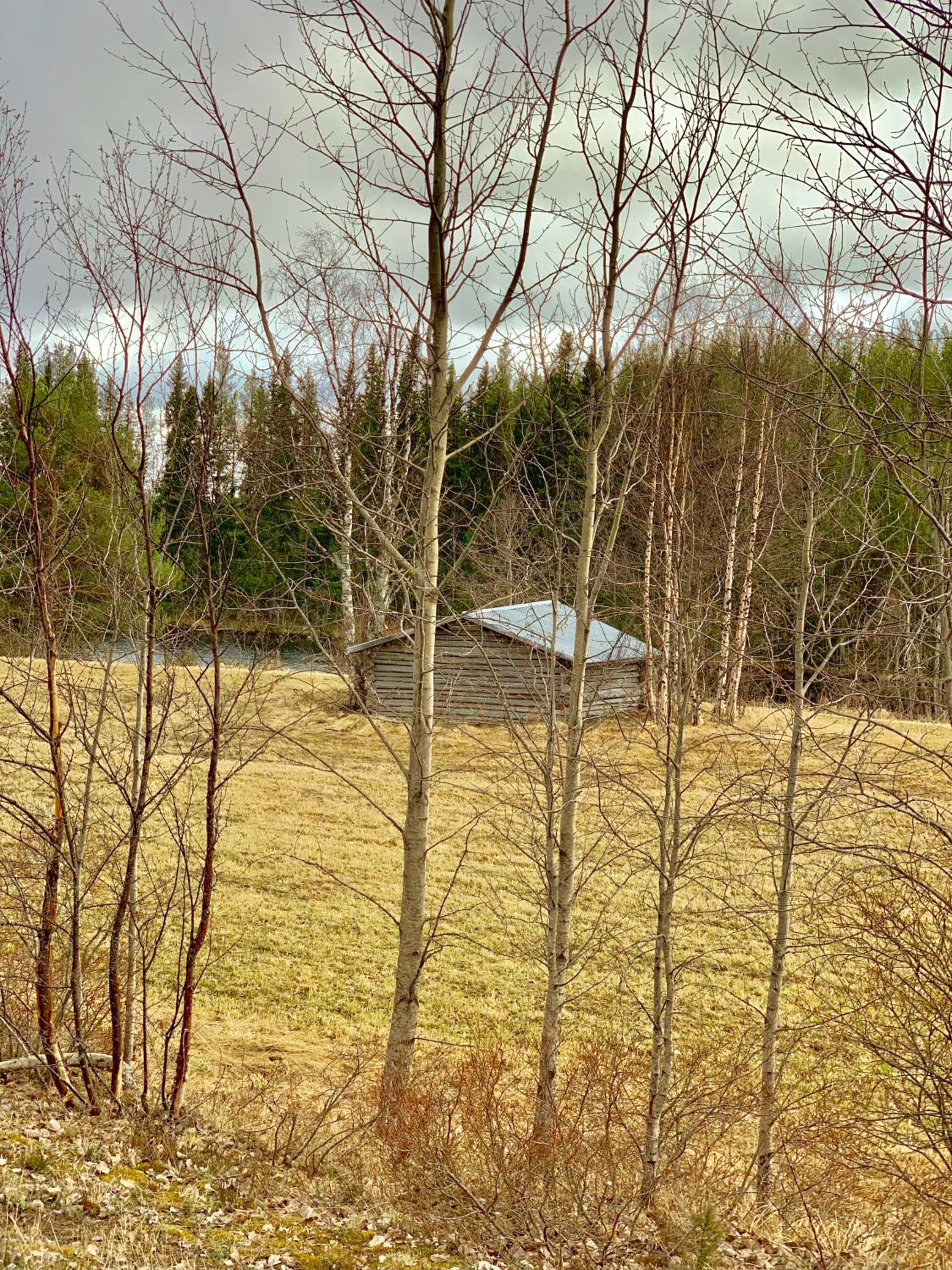 Photo 18