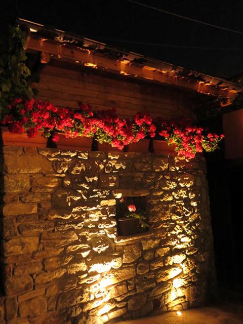 Photo 33