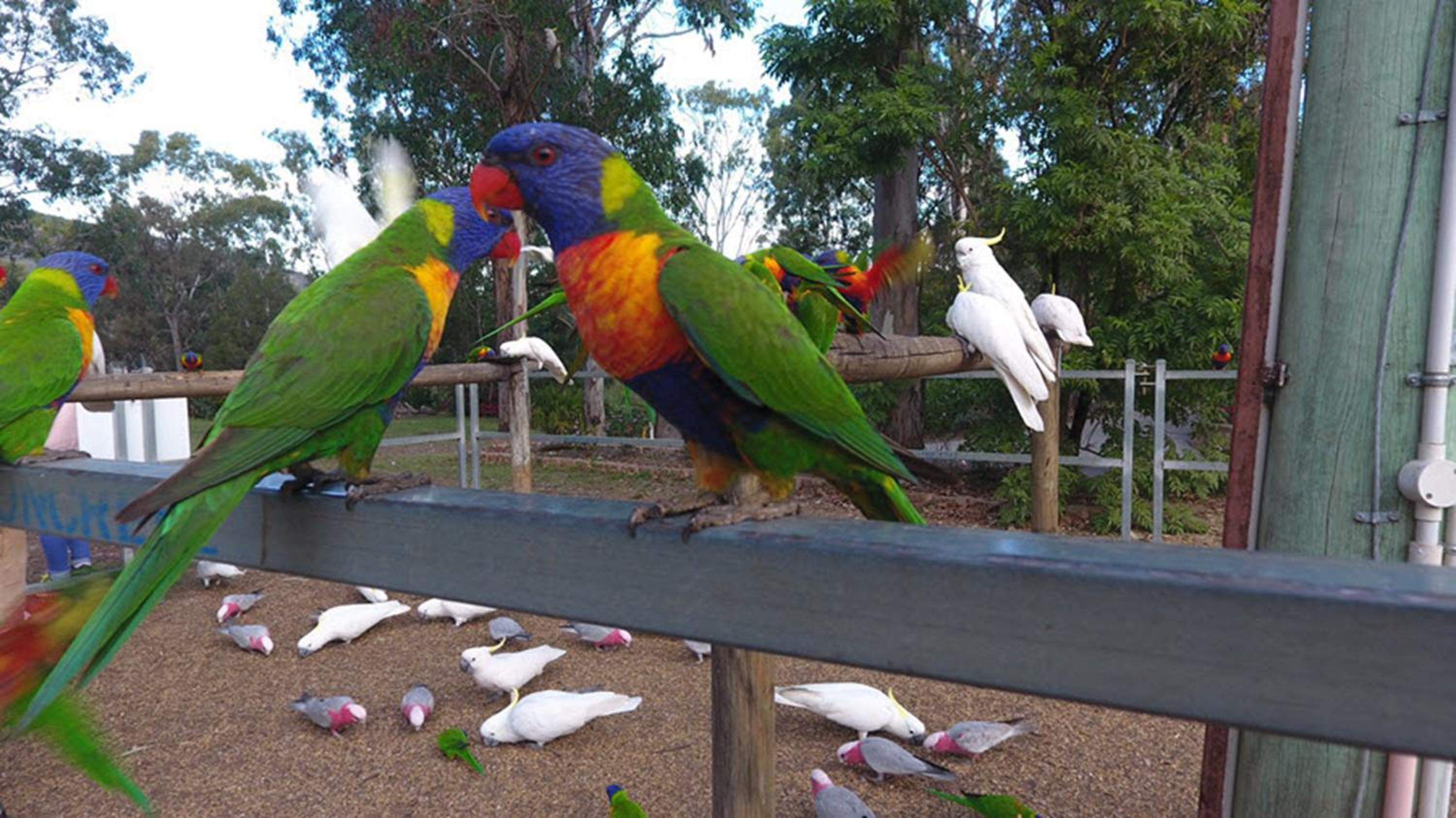 BIG4 Cania Gorge Holiday Park