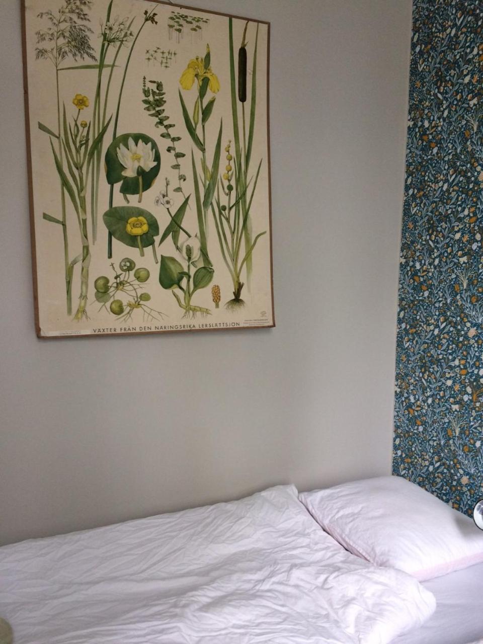 Baggå Skola BnB & Café