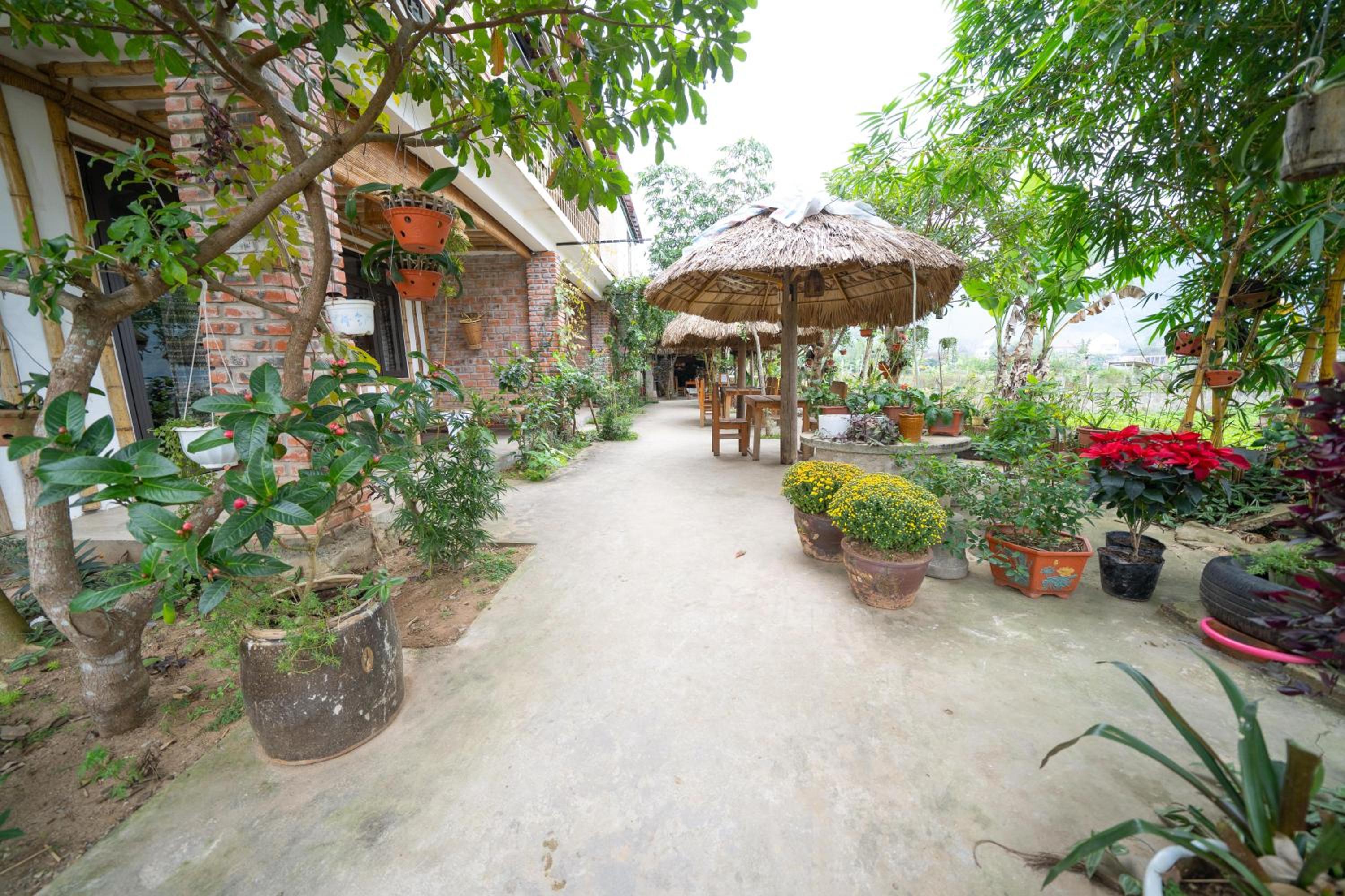 Jungle Boss Homestay
