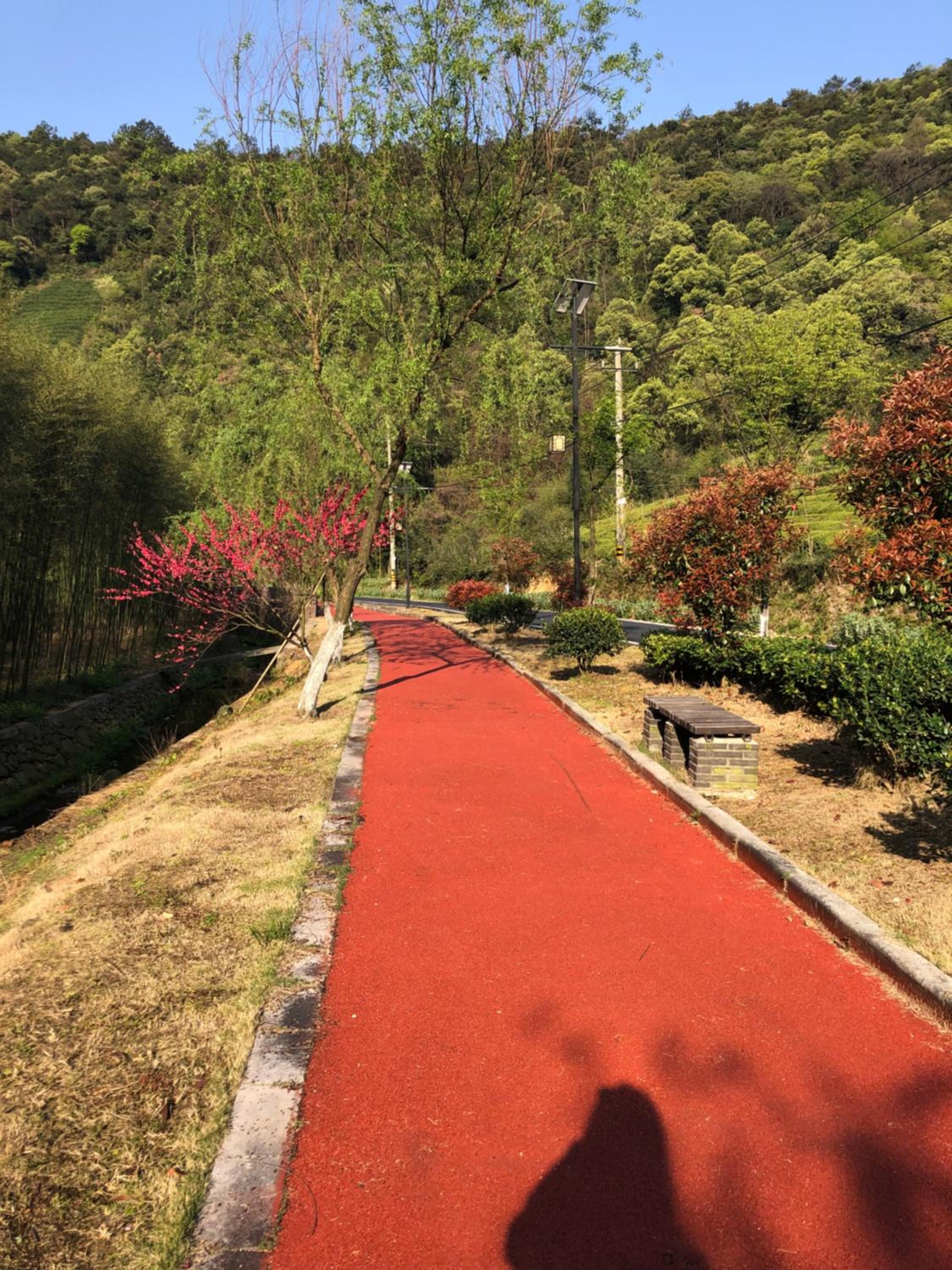 Mogan Mountain Xiaomusensen