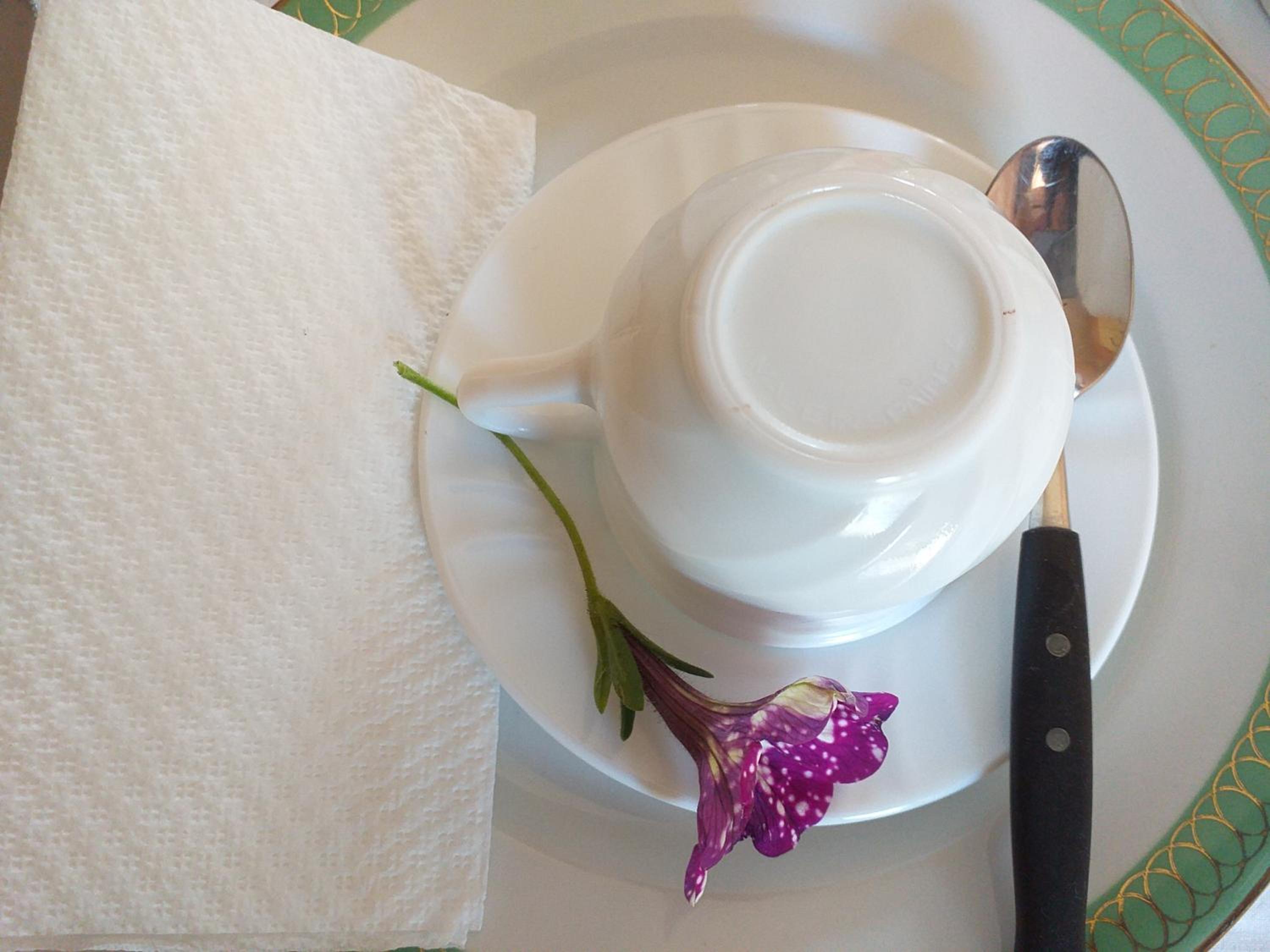 Le Terrazze Sul Pollino B&B