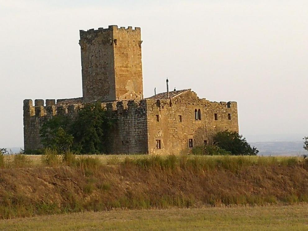 La casa dels ocells