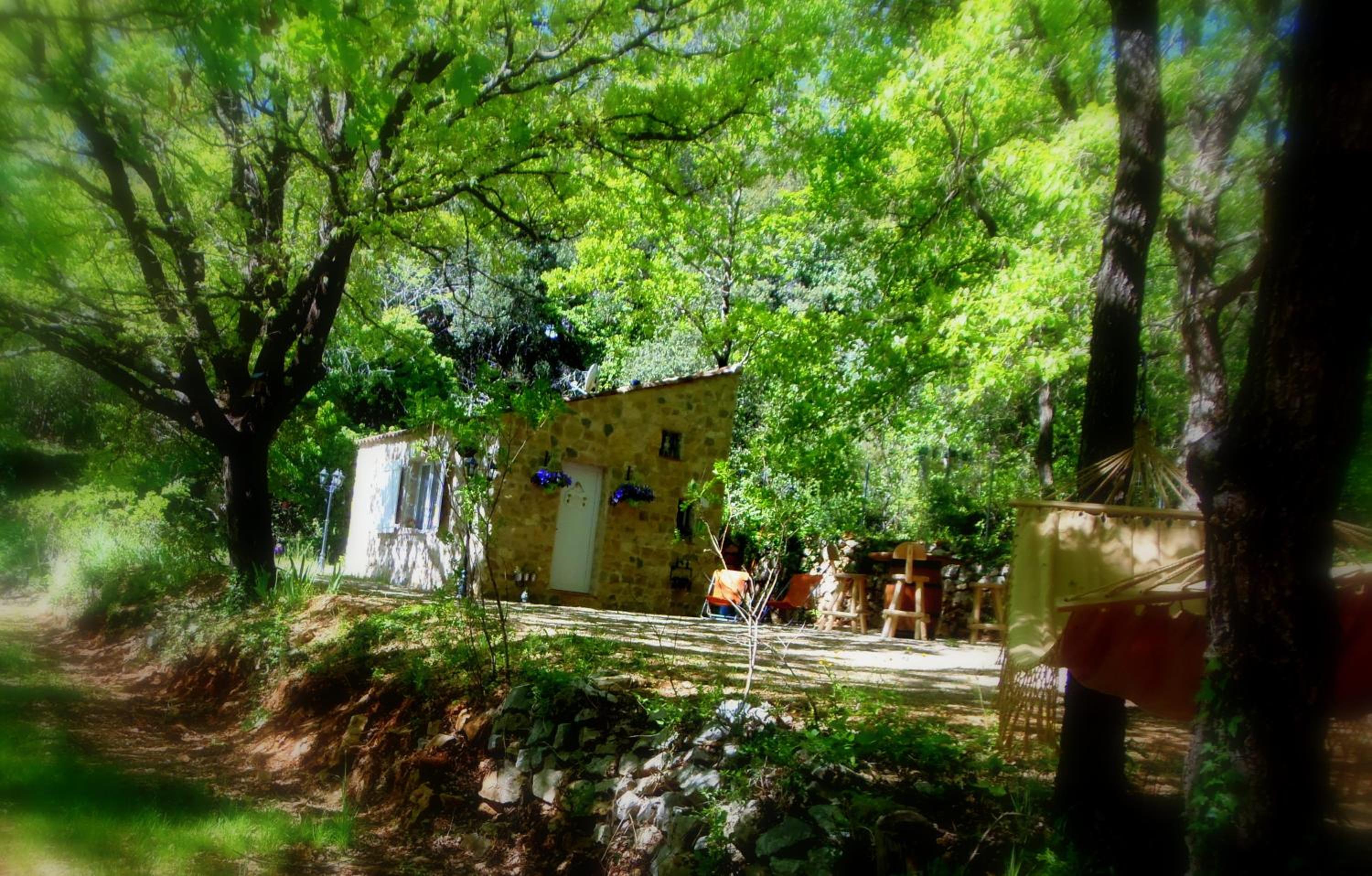Photo 19