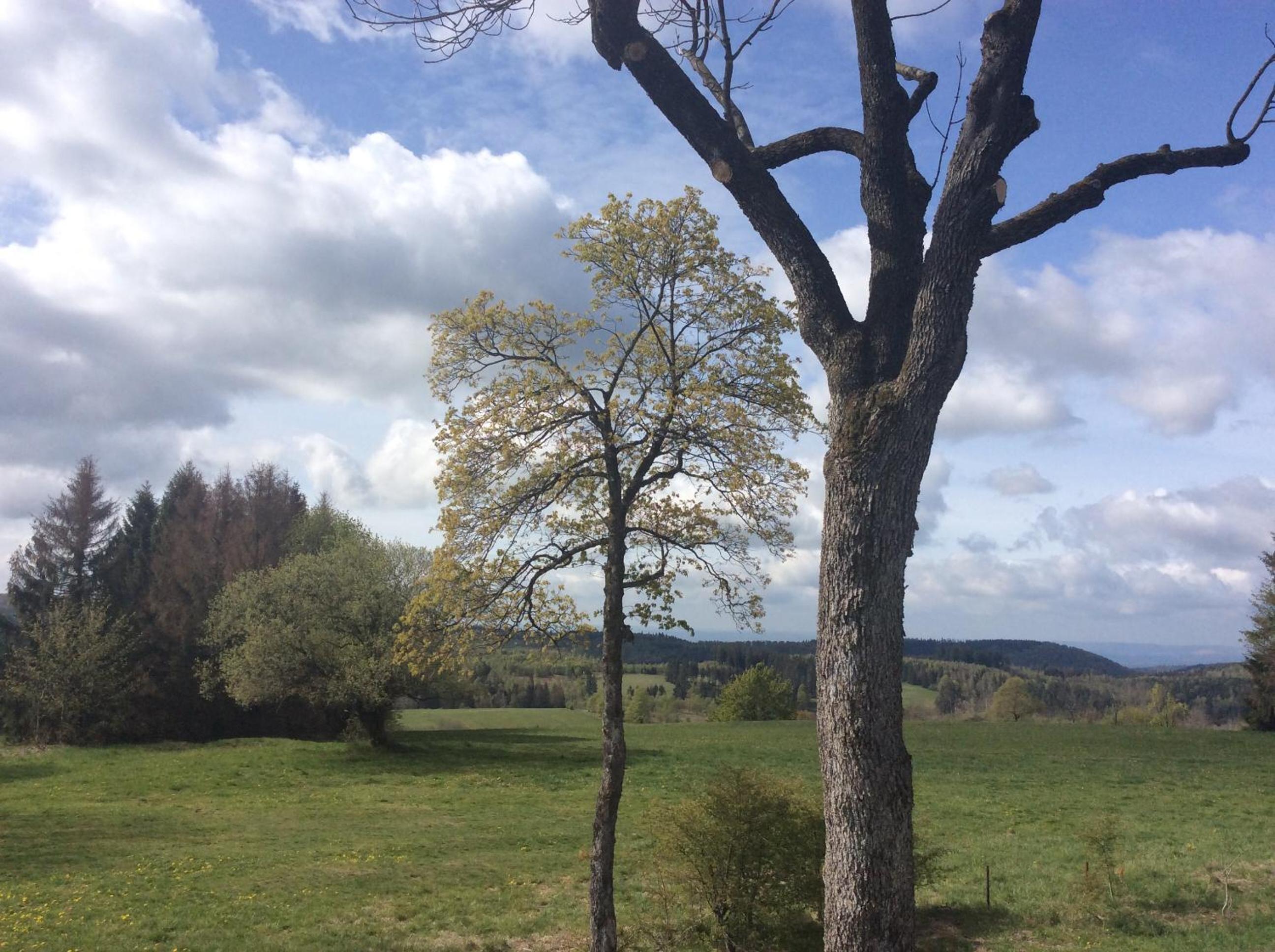 Ferienwohnung Harzblick 2