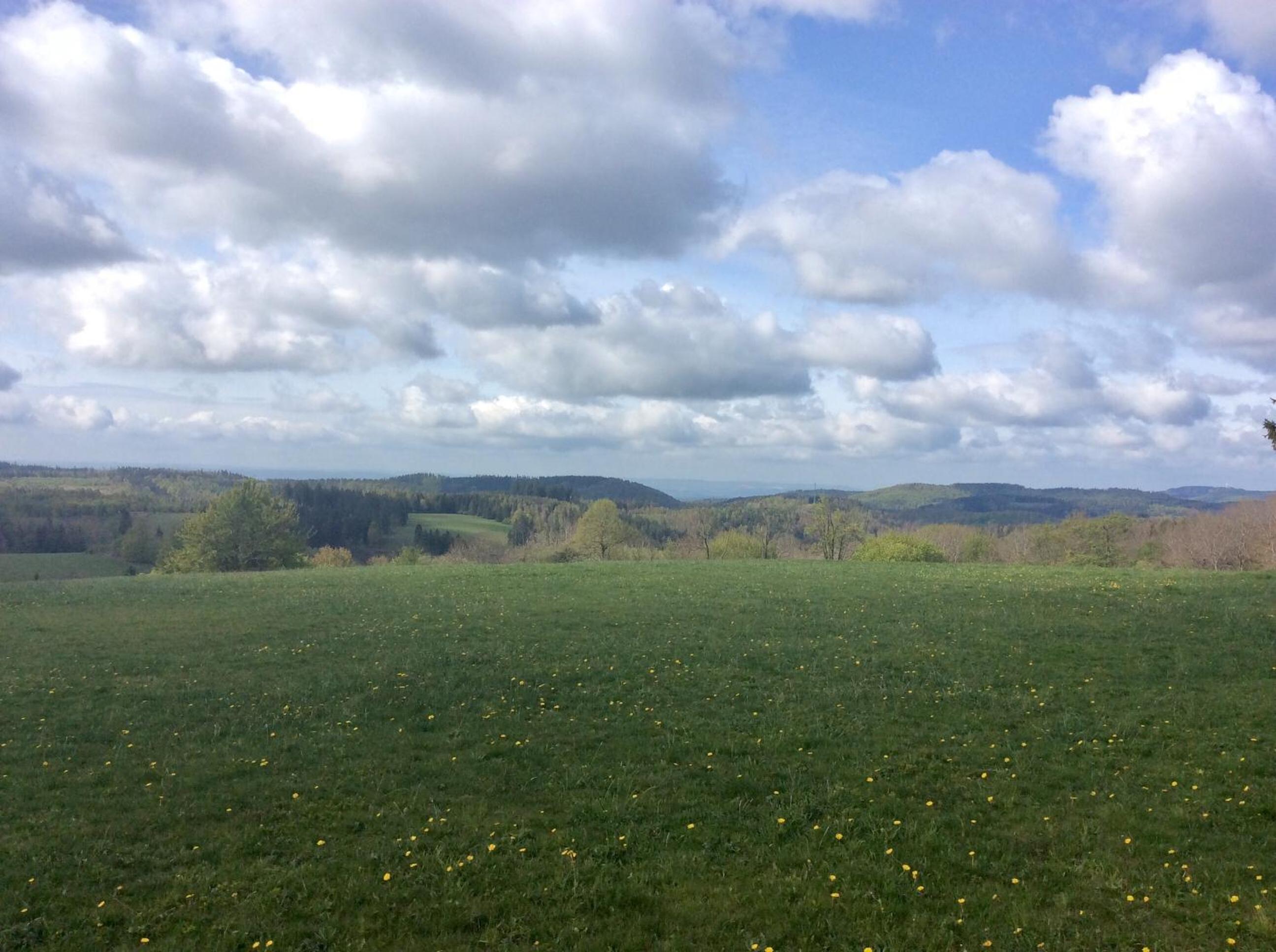 Ferienwohnung Harzblick 2