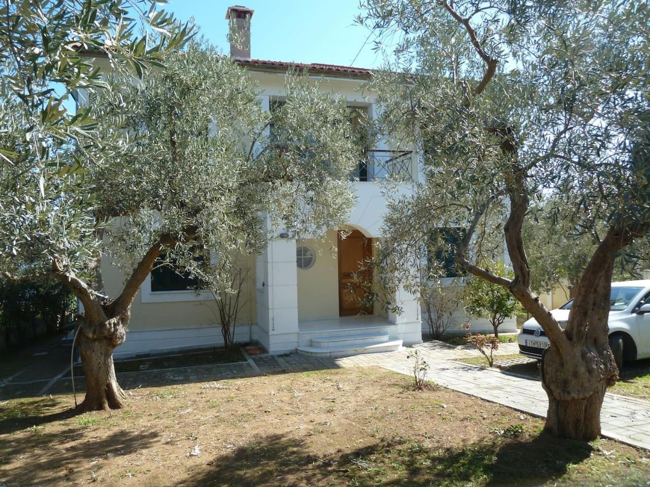 Photo 38