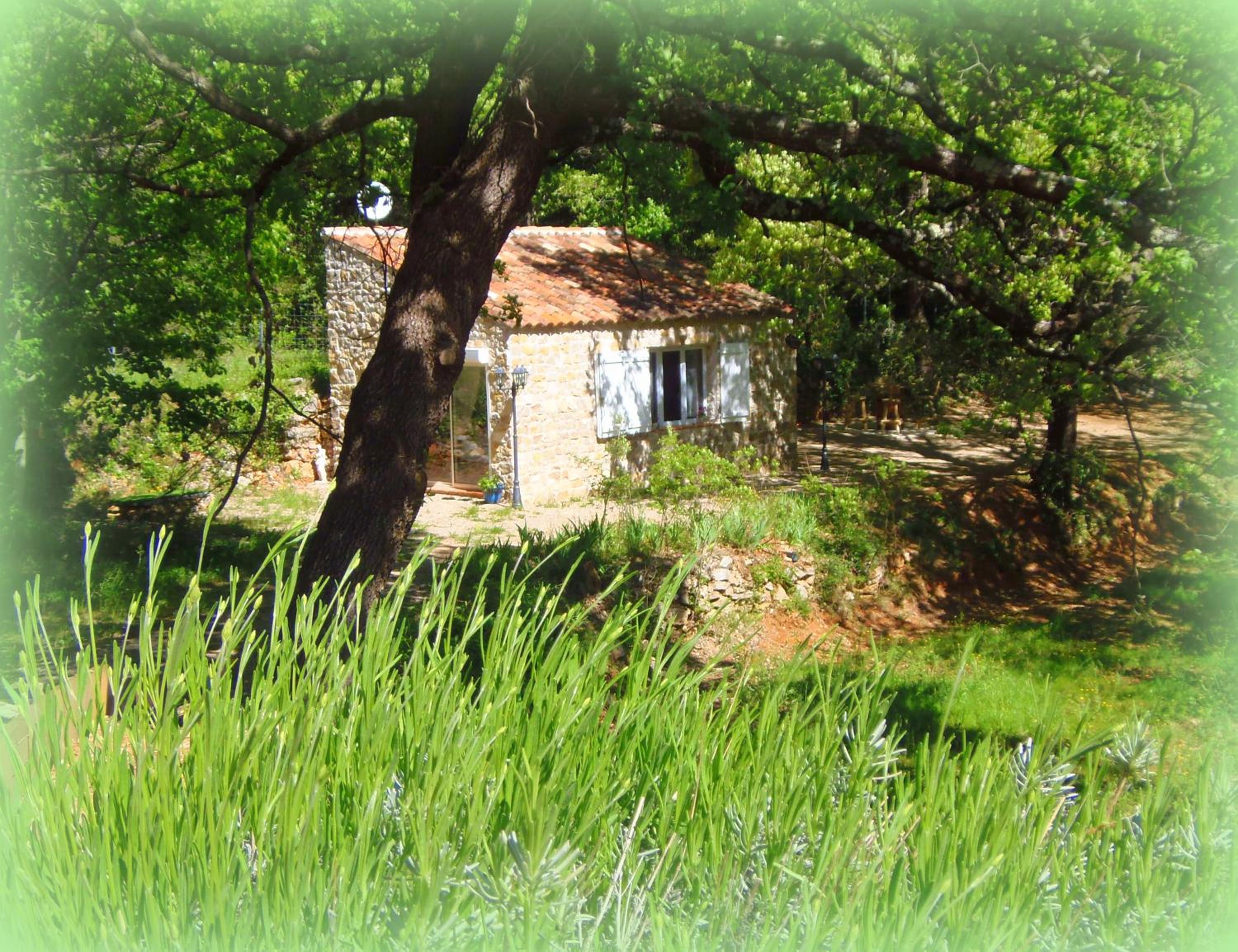 Photo 40