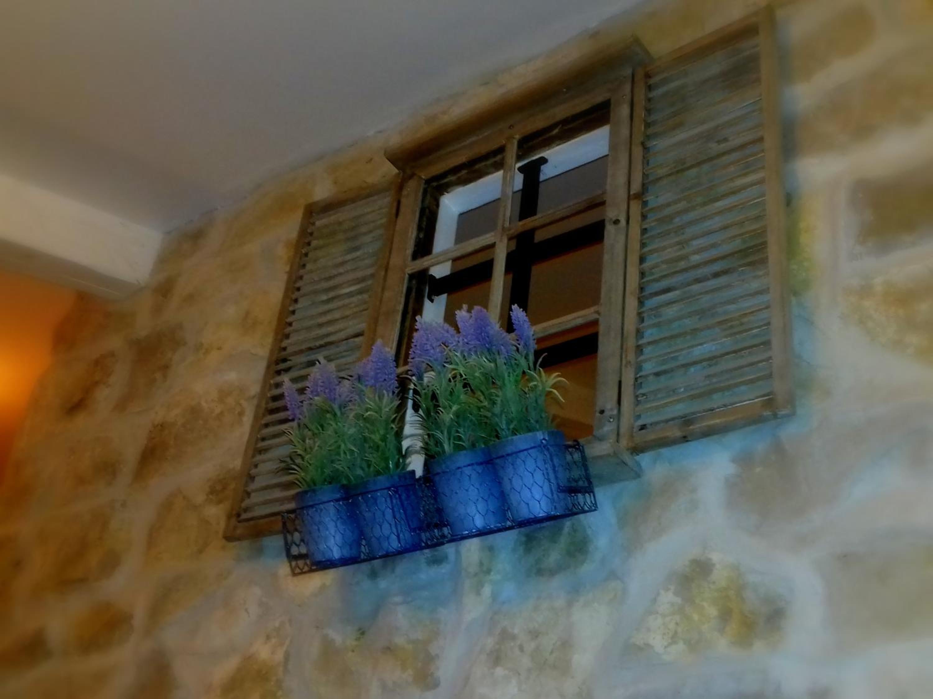 Photo 44