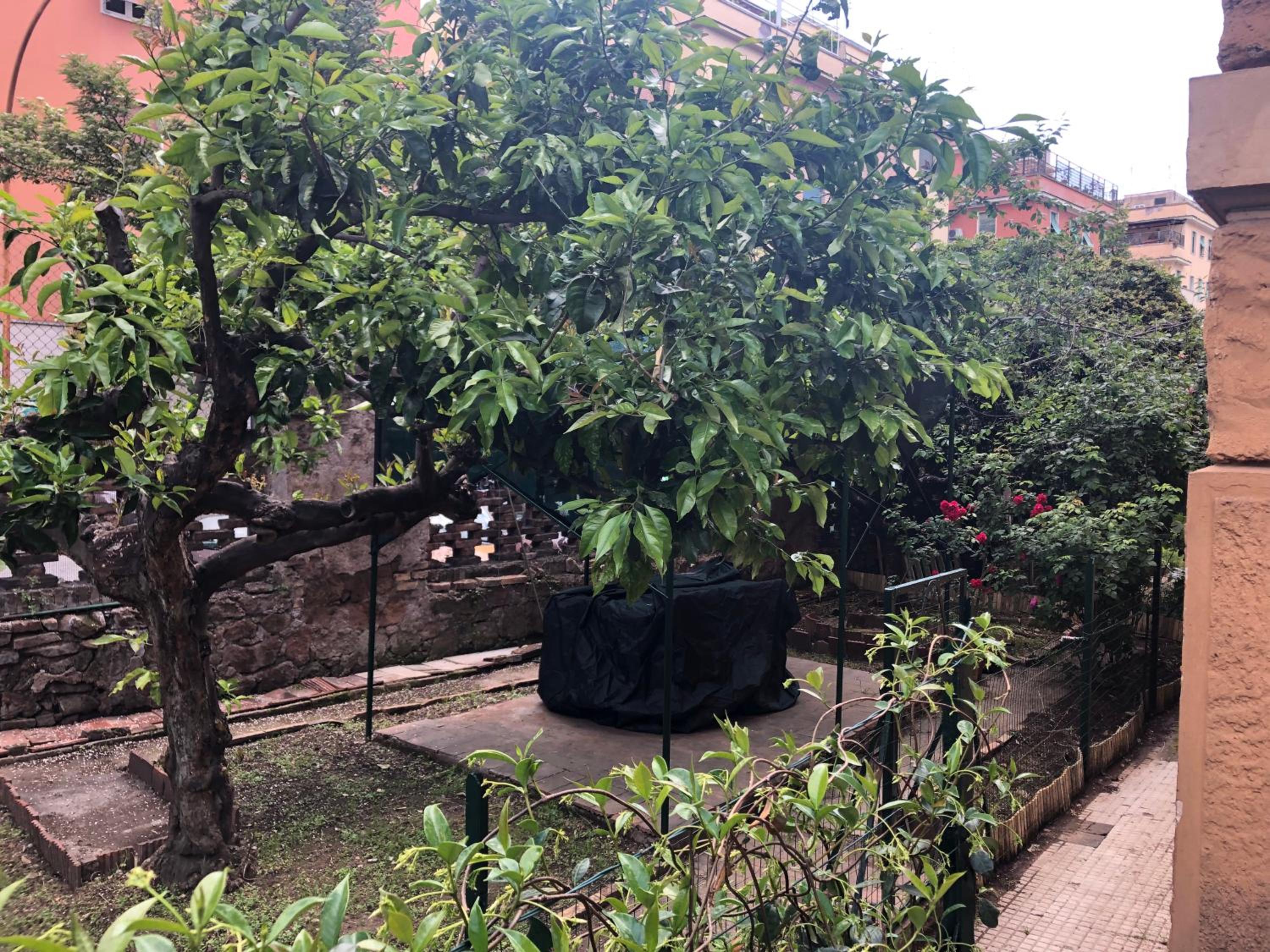Villa Ella