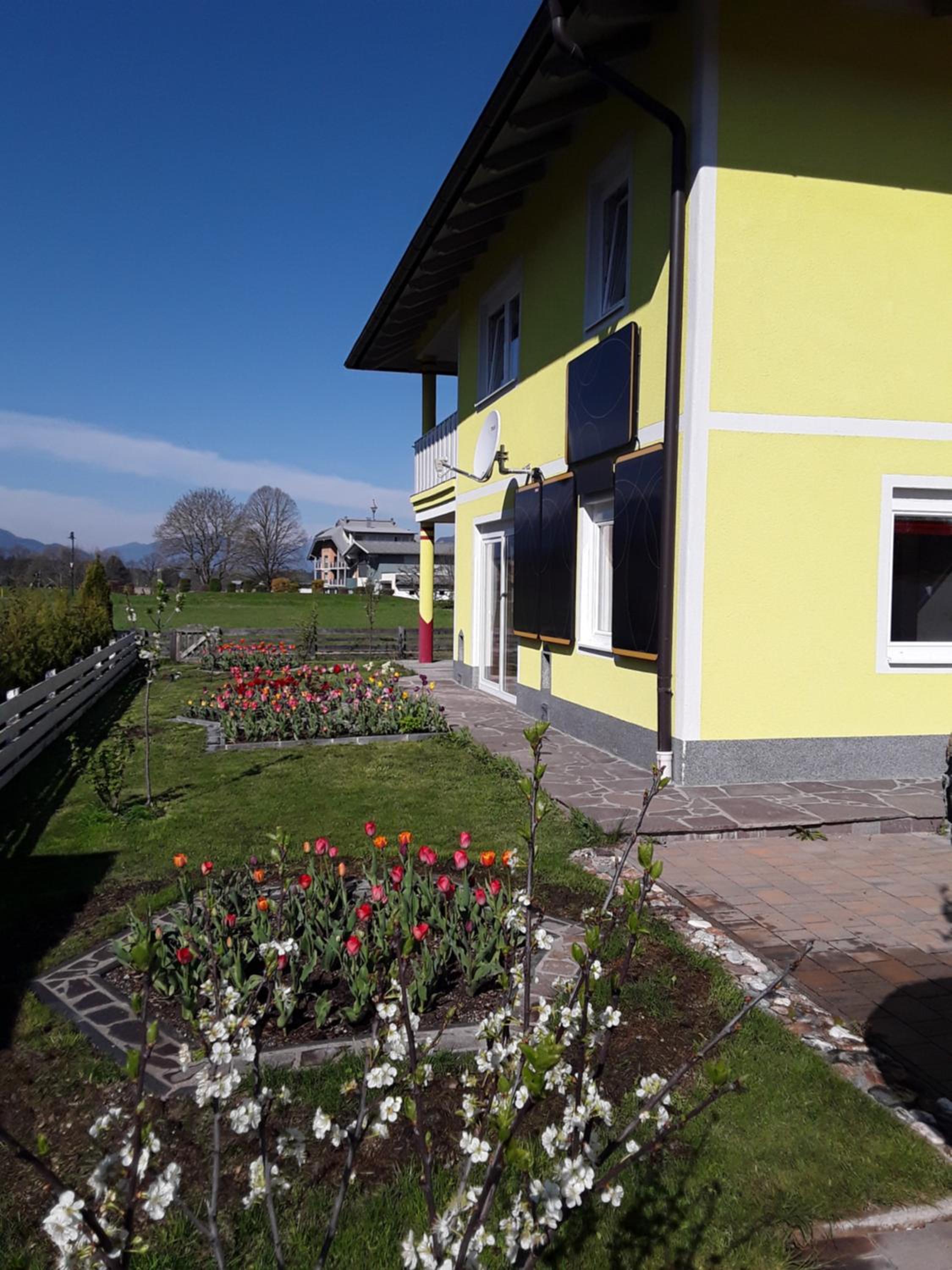 Apartments Steger
