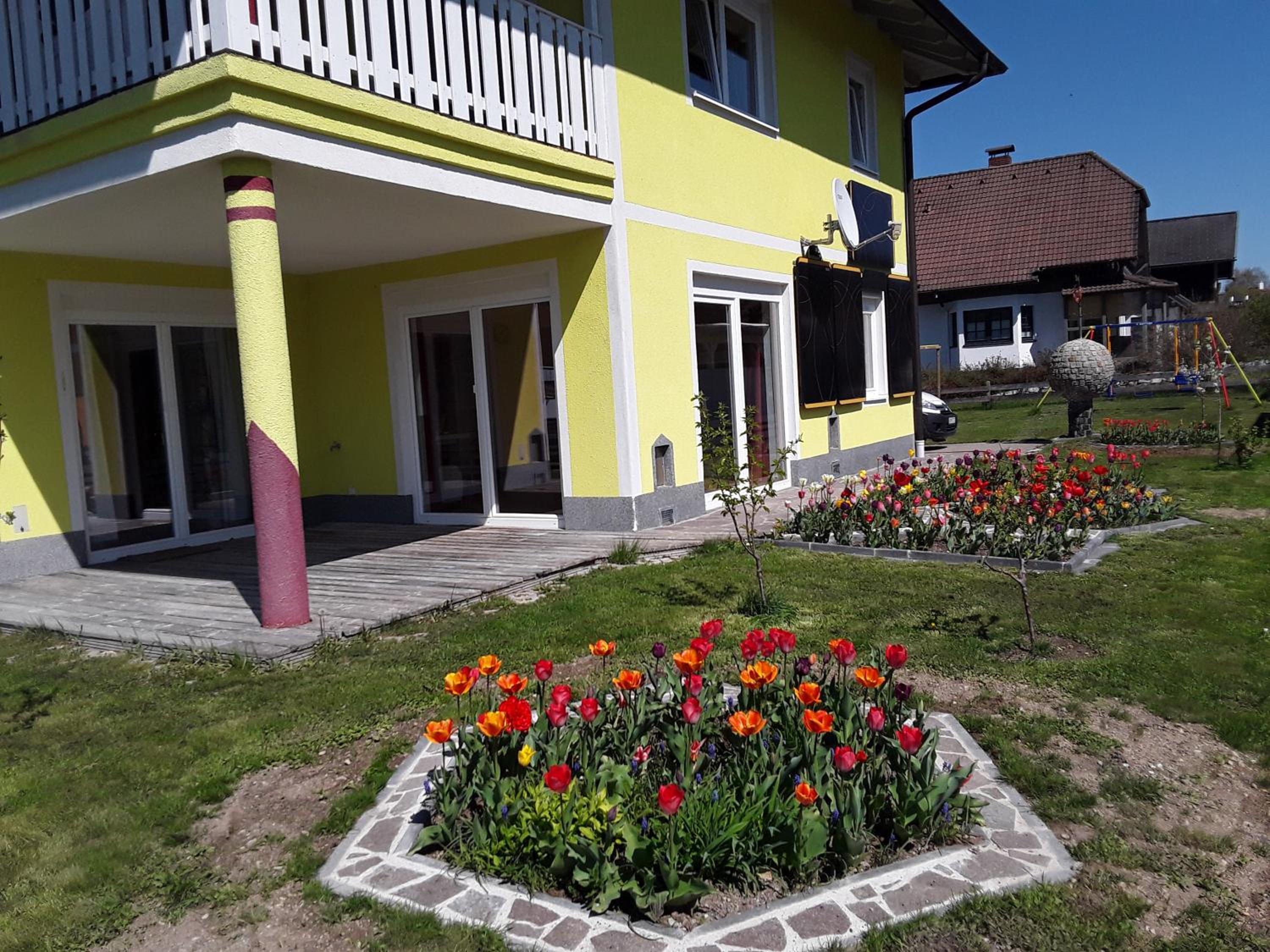 Apartments Steger