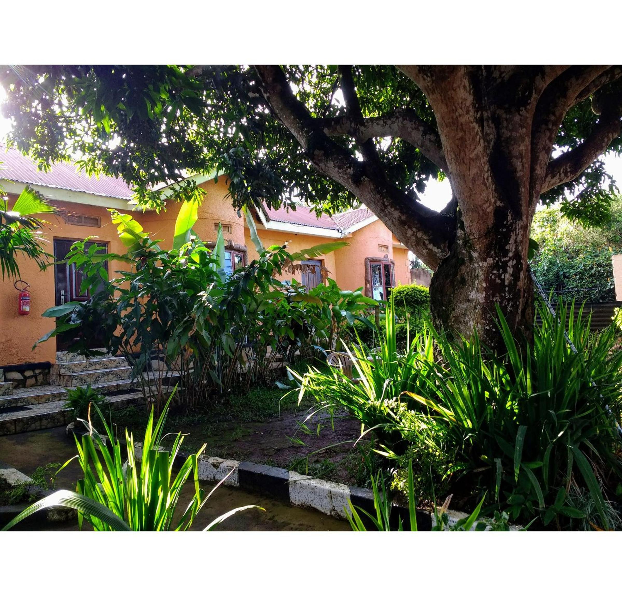 Gorilla African Guest House