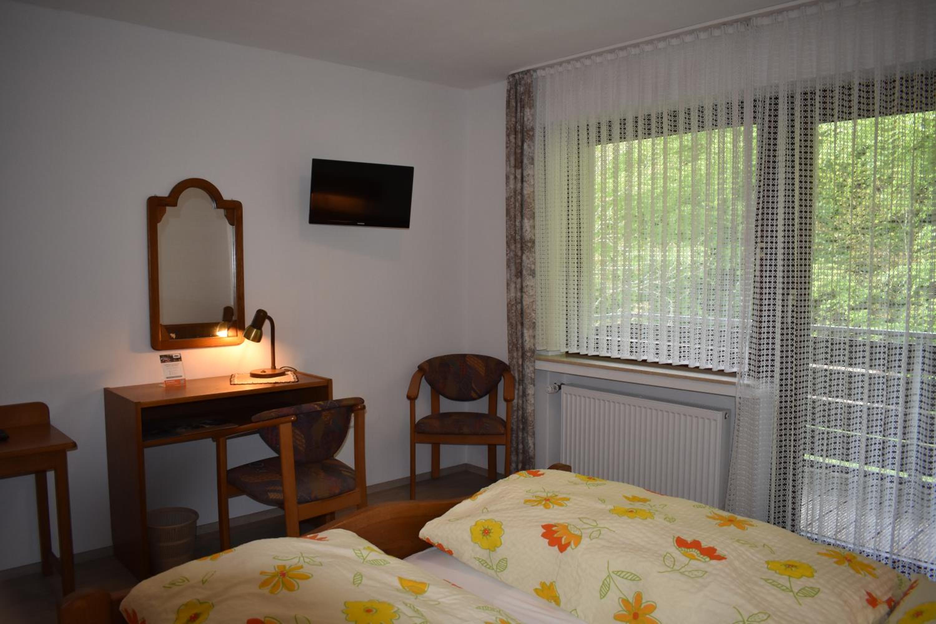 Pension Haus am Waldesrand view 3