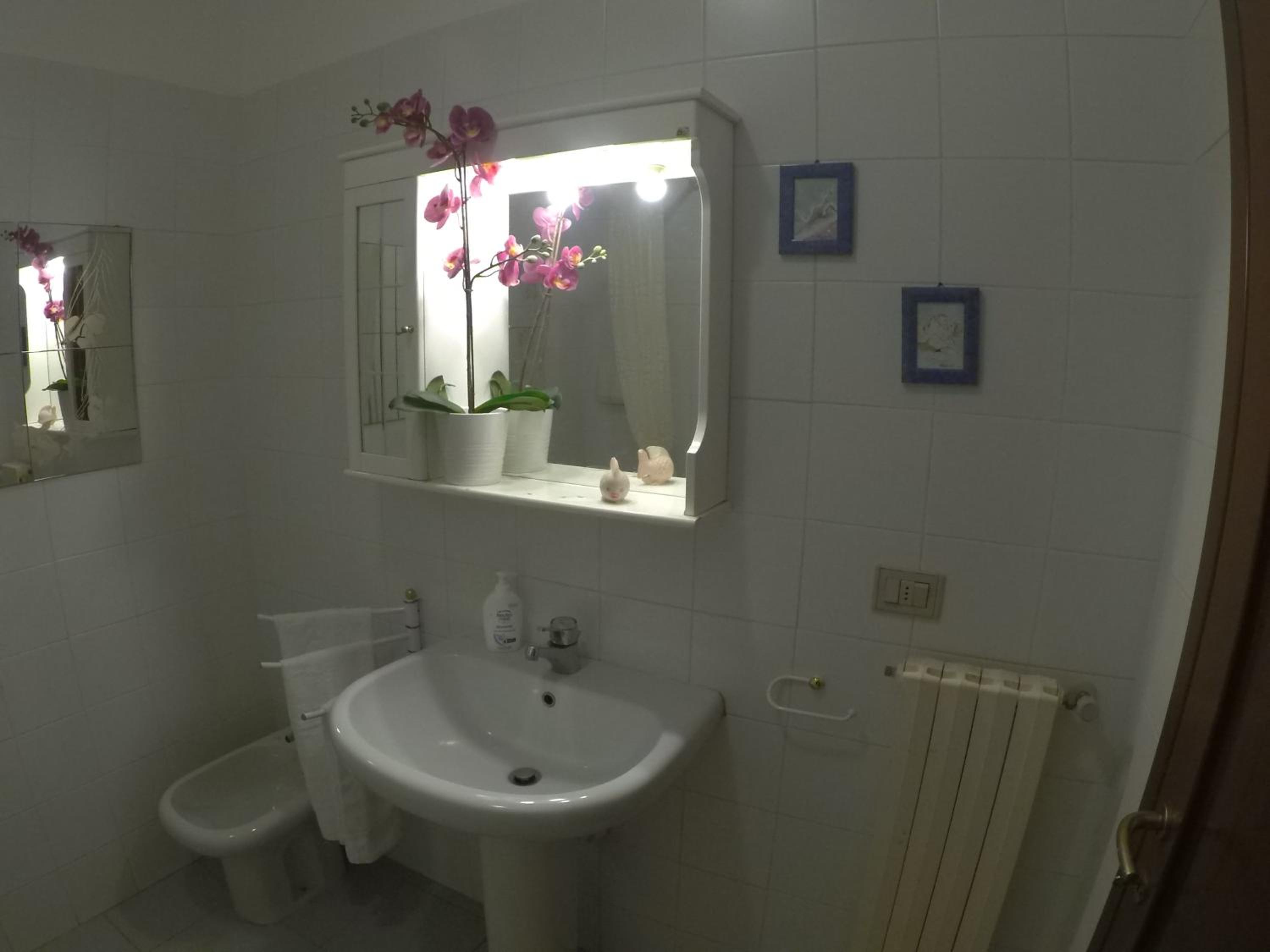 Photo 33