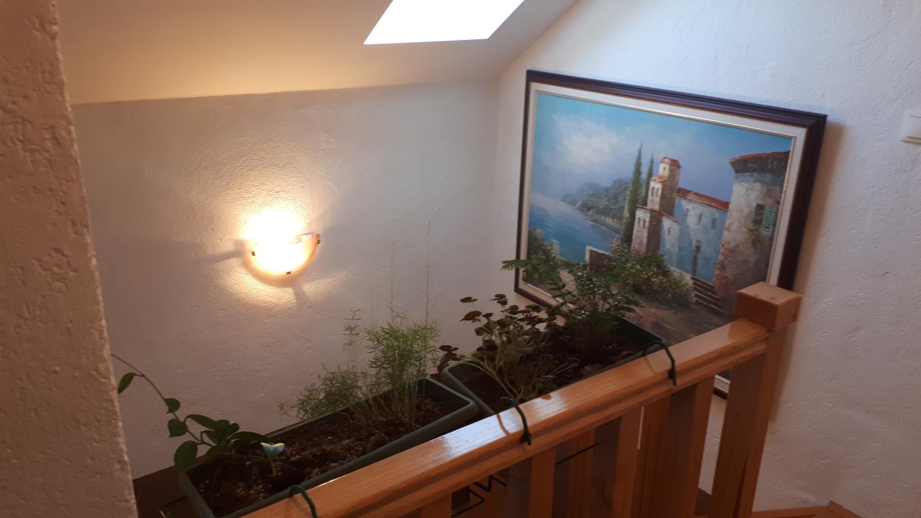 Photo 54