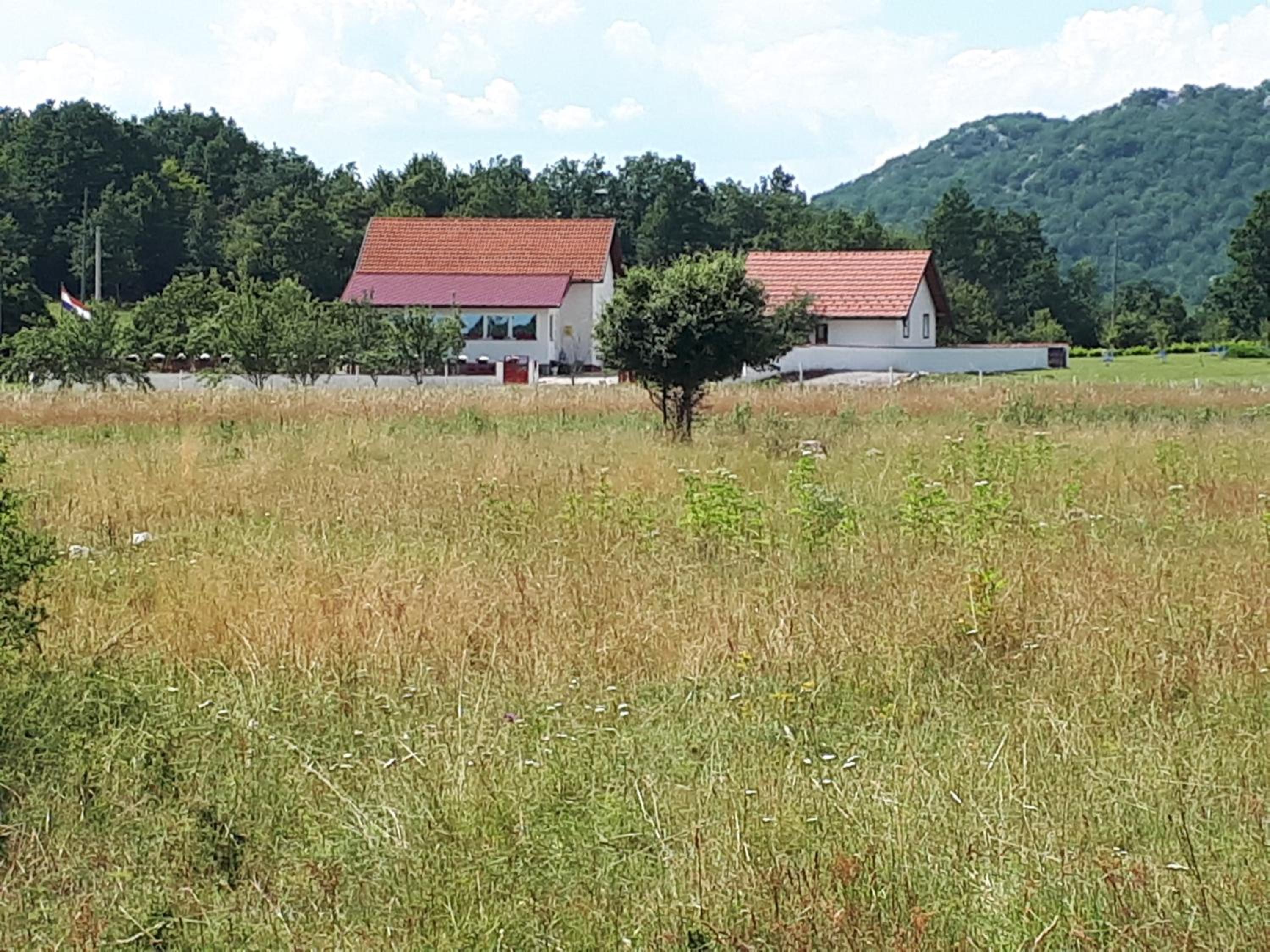 Photo 46