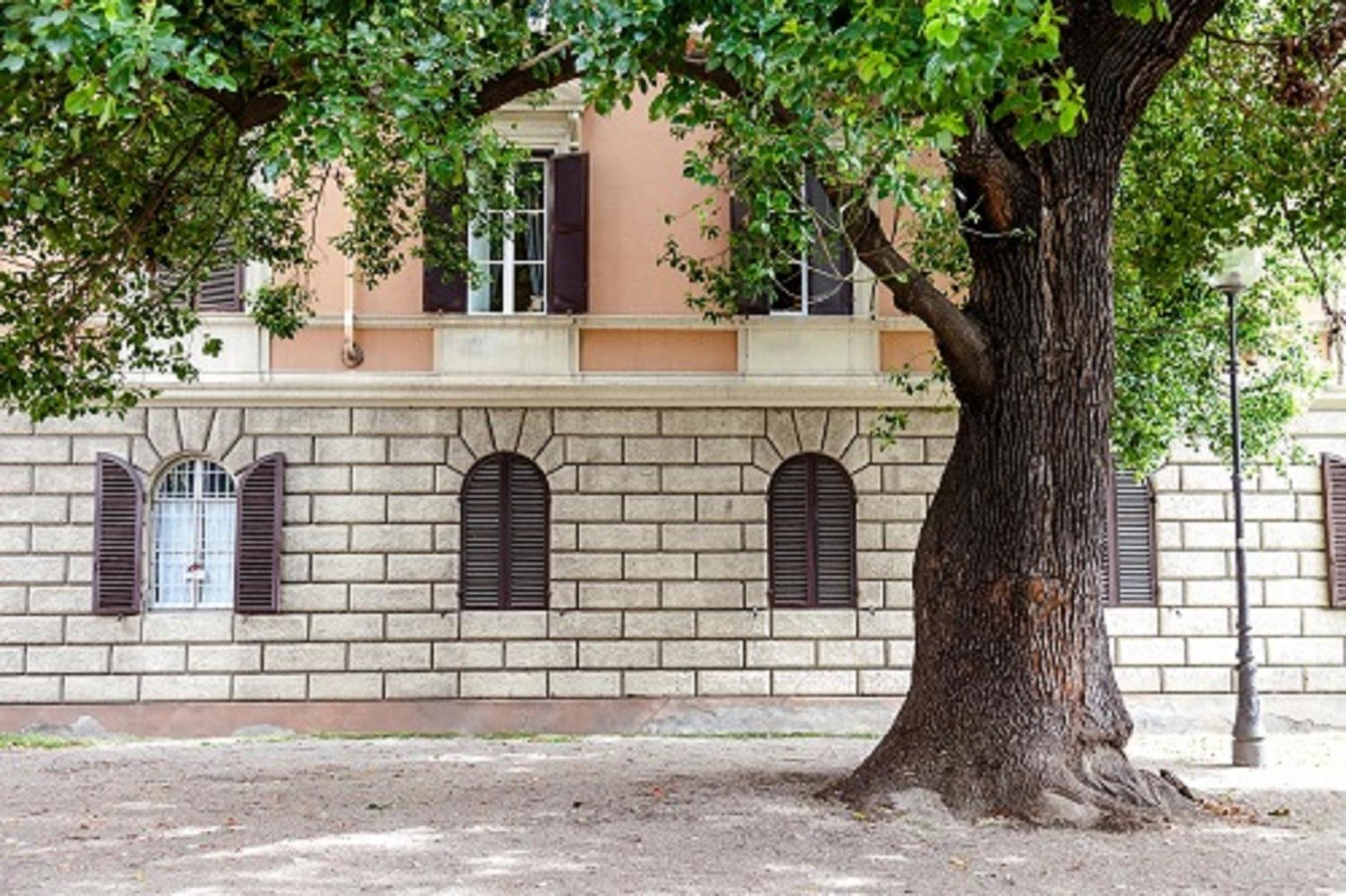 AmoRoma Suite