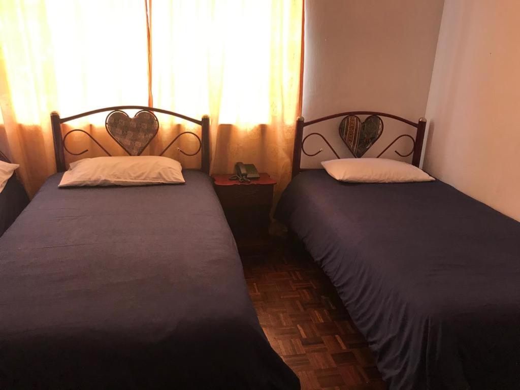 Hostal Luz Wilson