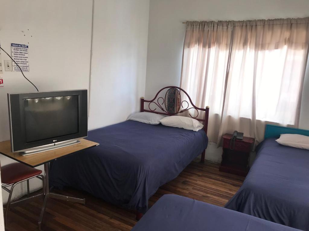 Hostal Luz Wilson