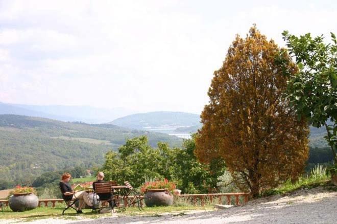 Agriturismo Terra Di Michelangelo