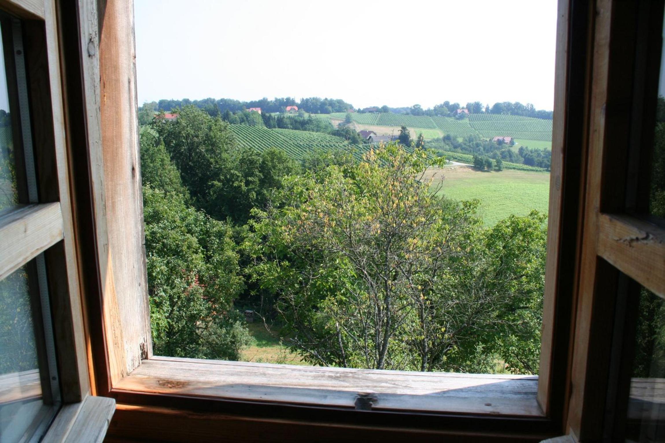 Weingut-Gästezimmer Pongratz