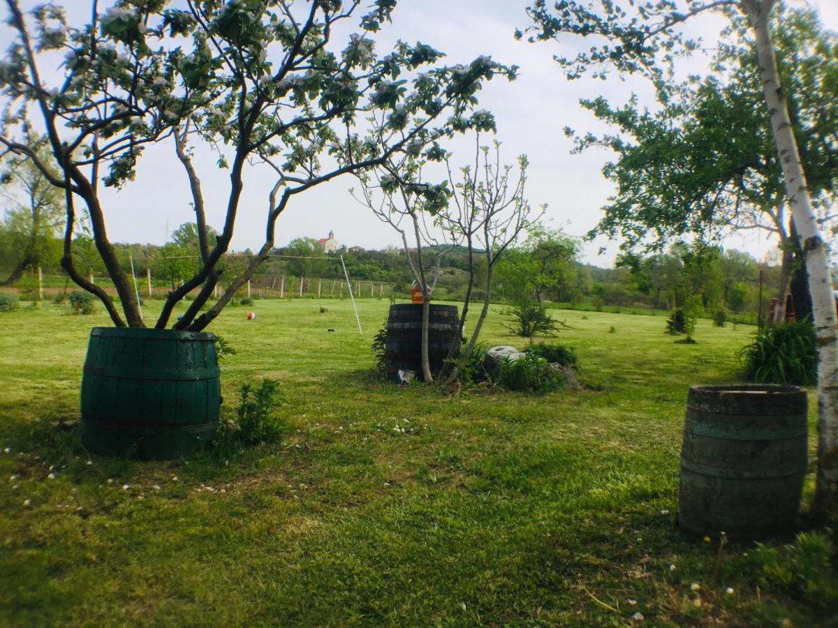 Photo 26