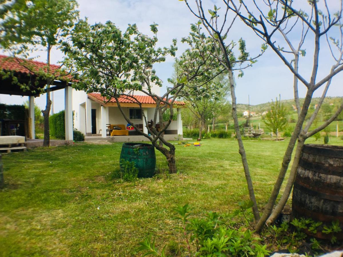Photo 25