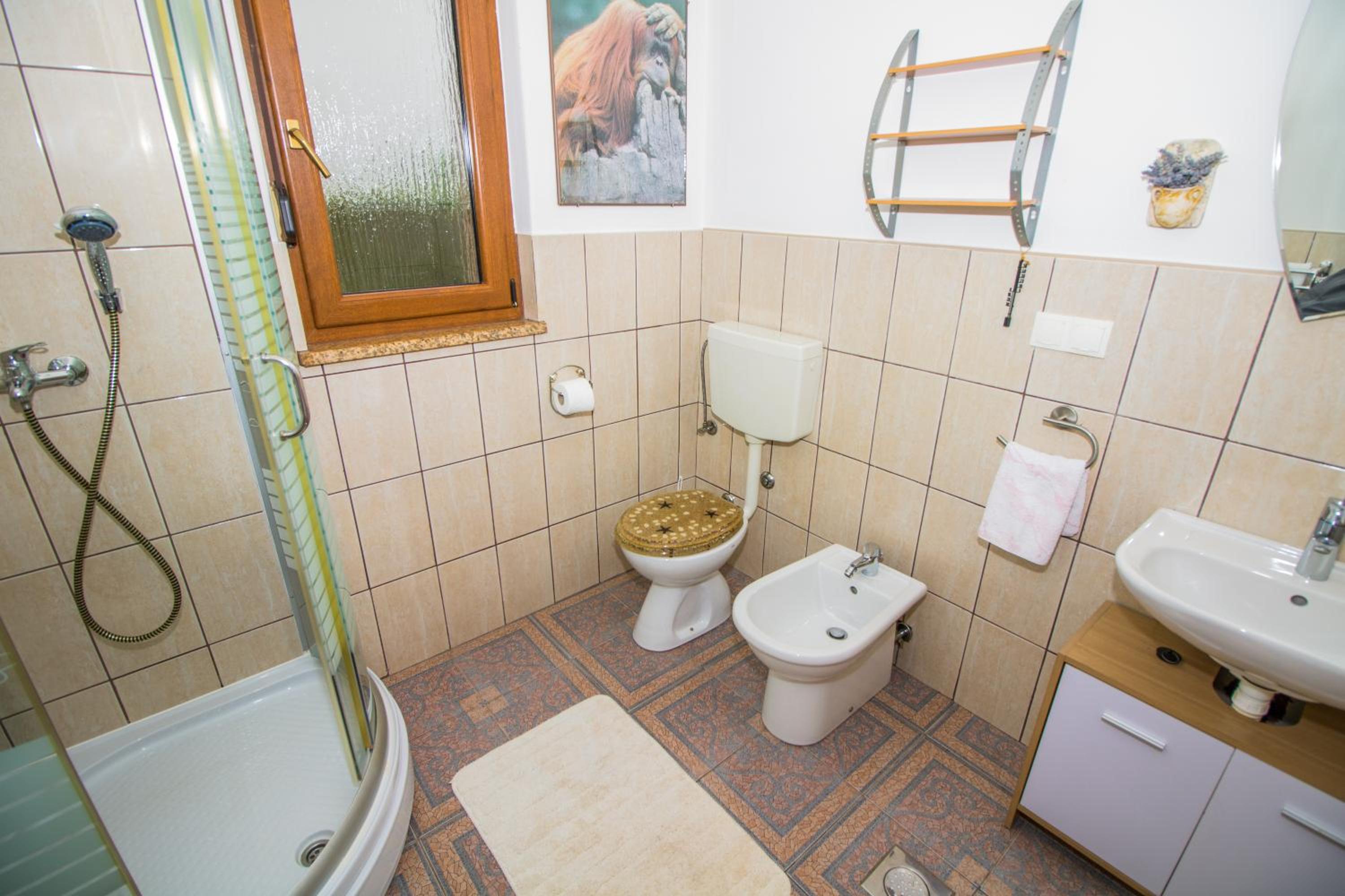 Apartments Magla with Terrace