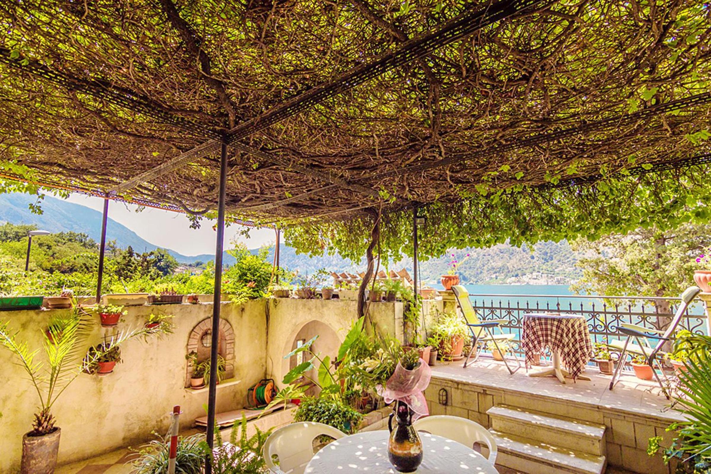 Villa Donković photo 4