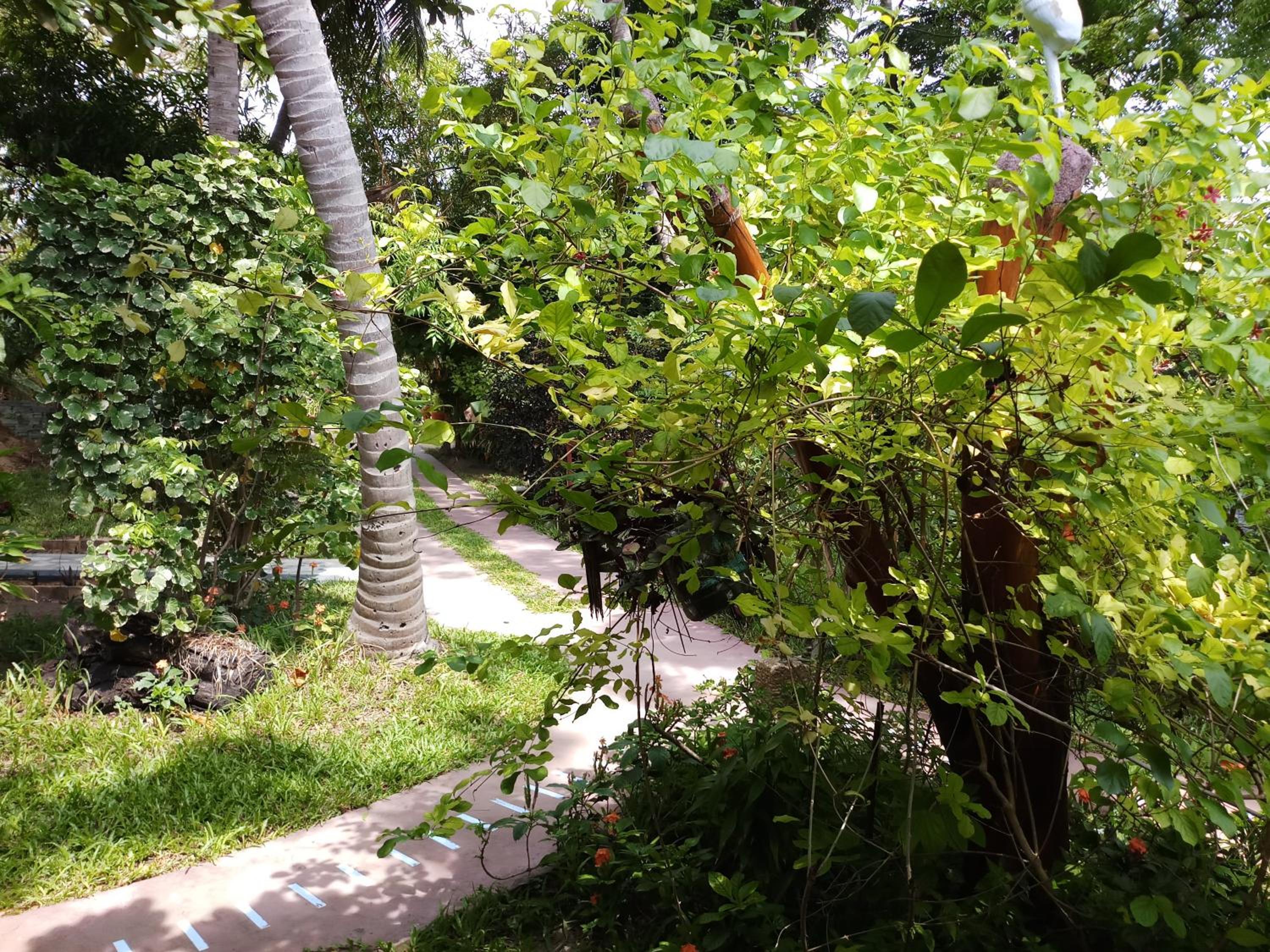 Photo 49